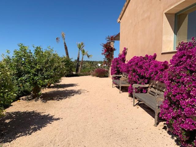 Finca El Idilio — photo 3