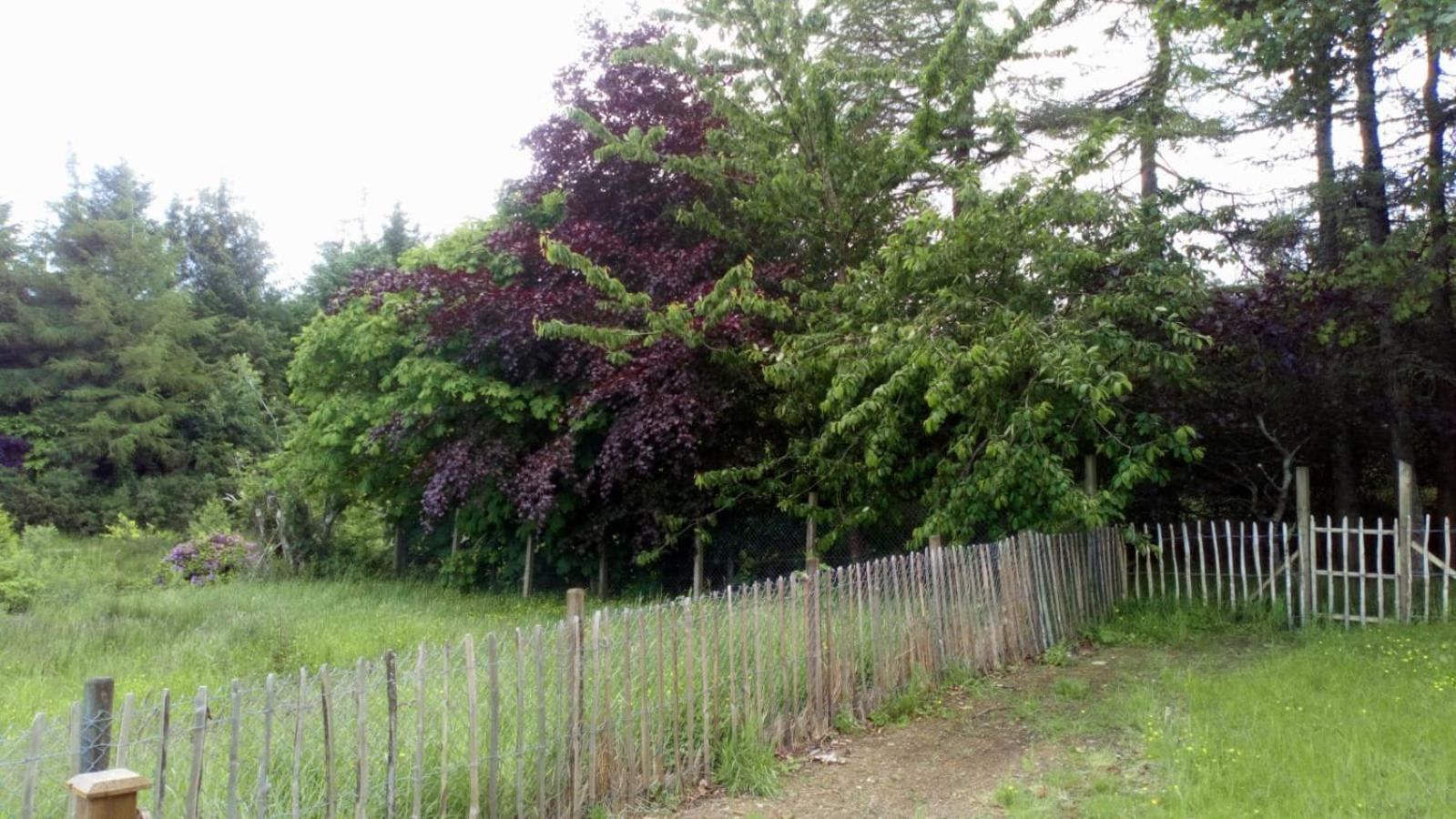 Photo 36