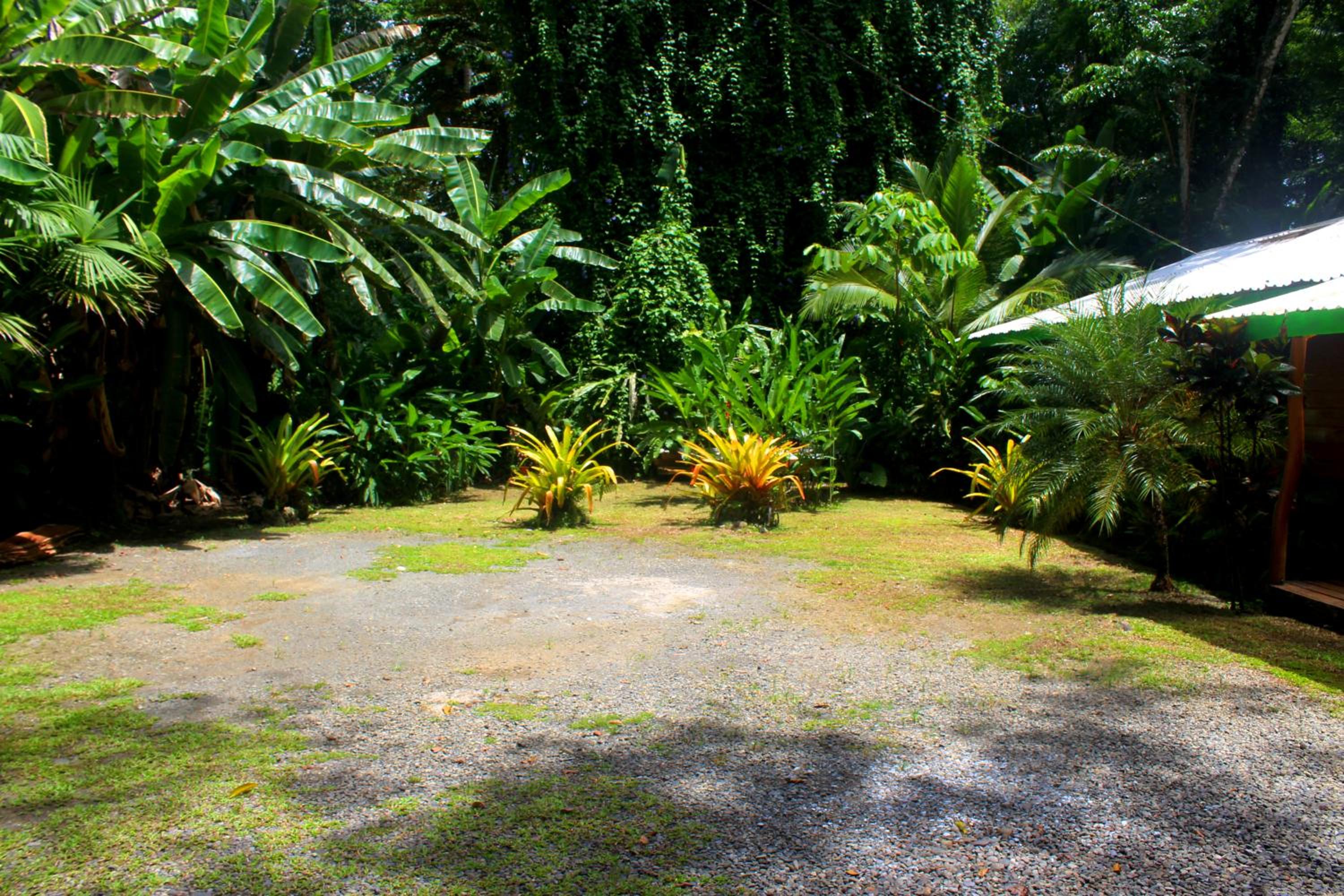 Casa Cerise Beachfront