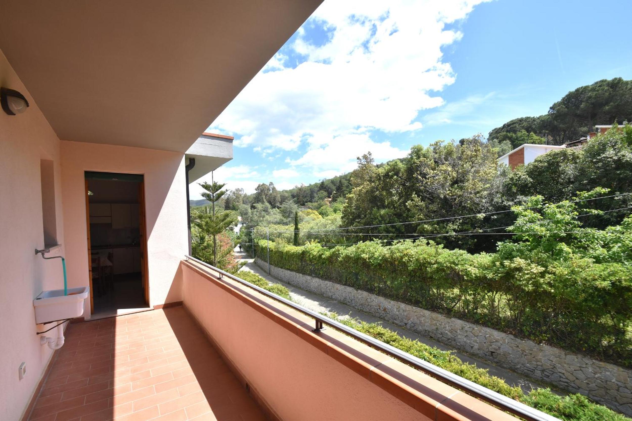 AGAVE view 5