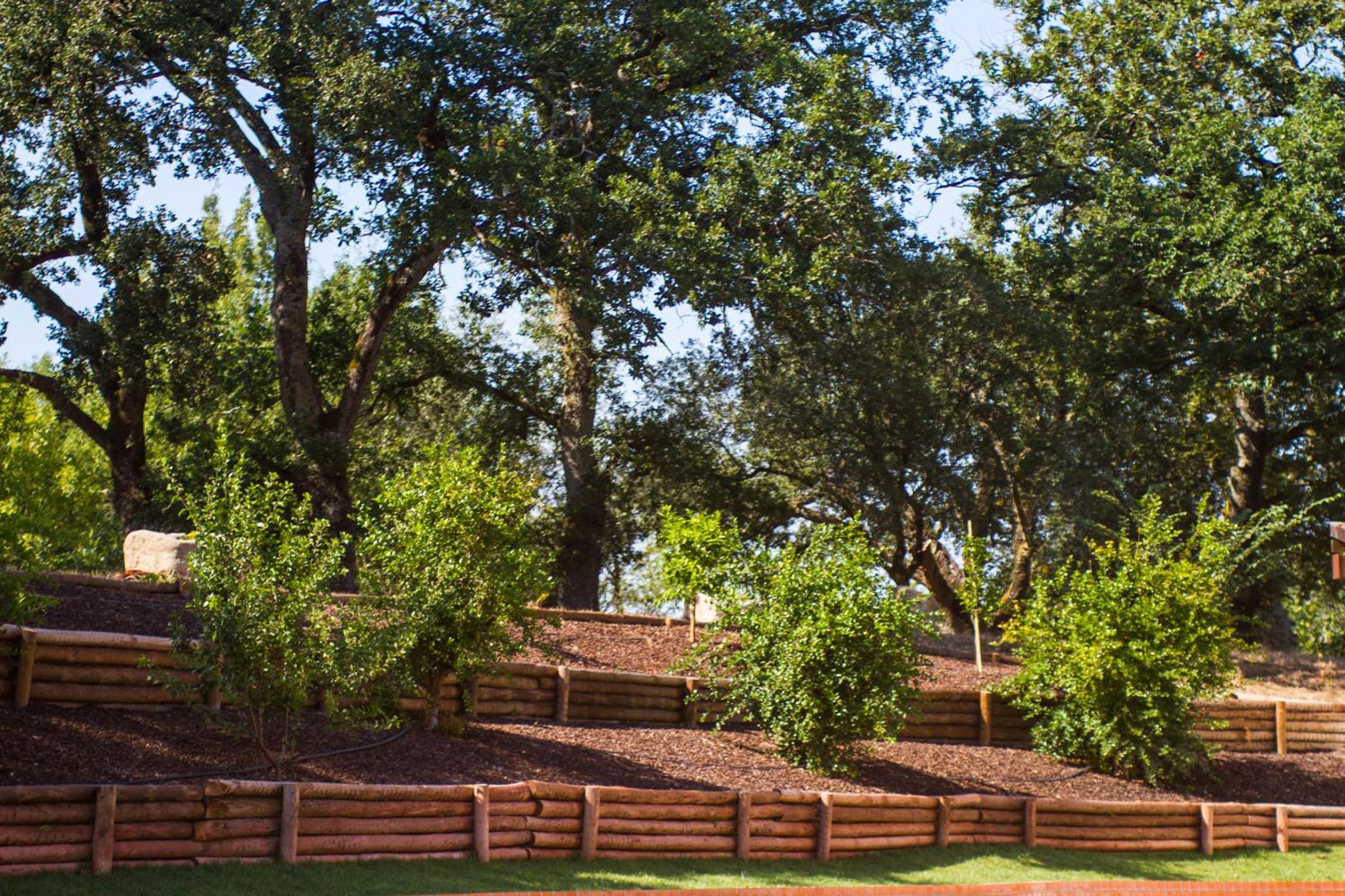 Quinta de Lograssol