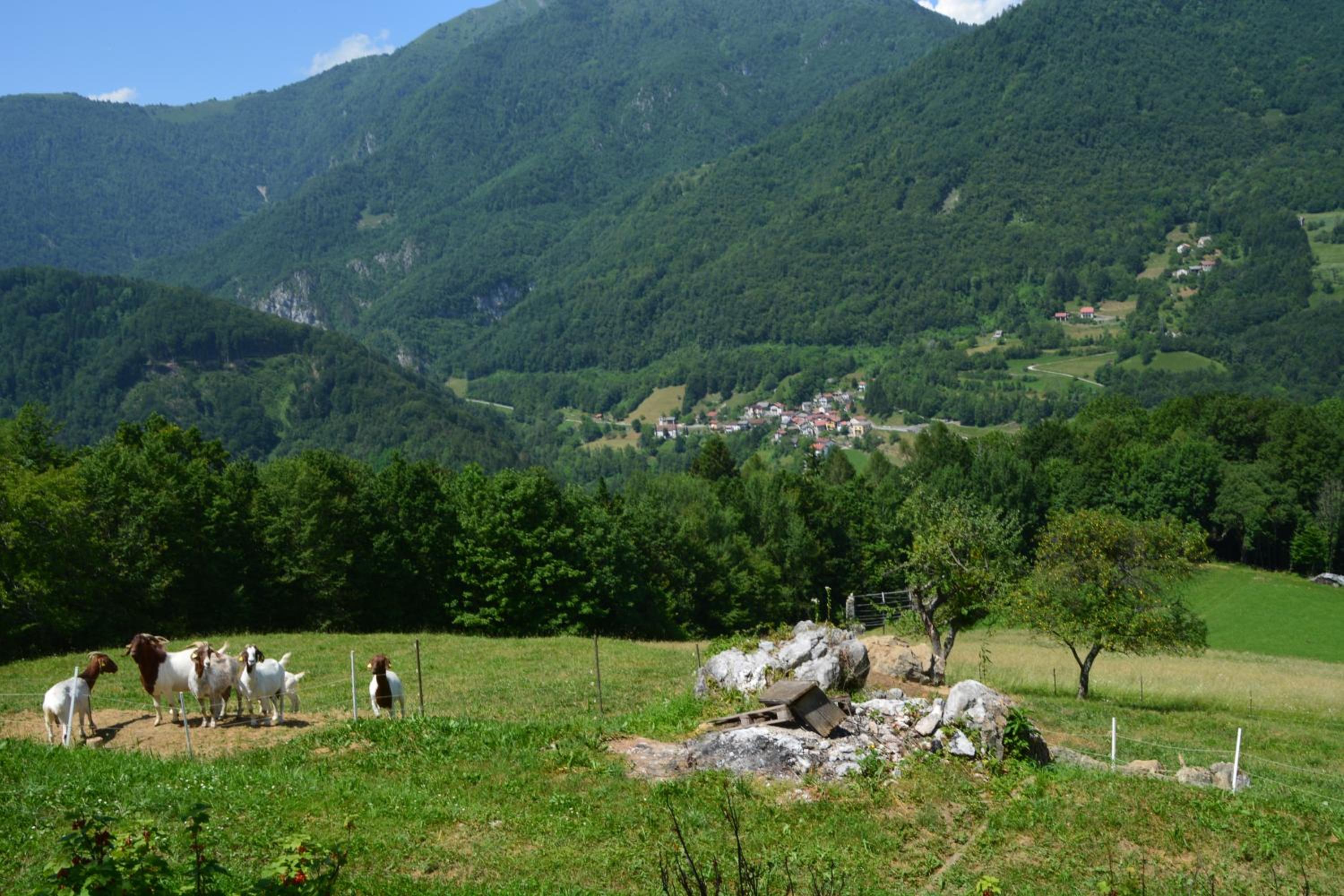 Apartma Zala view 2