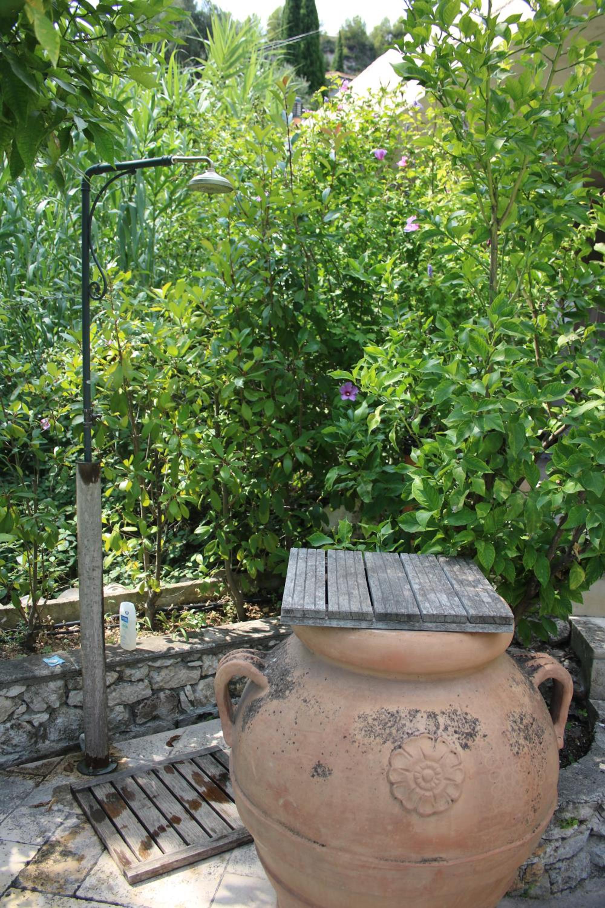 Photo 19