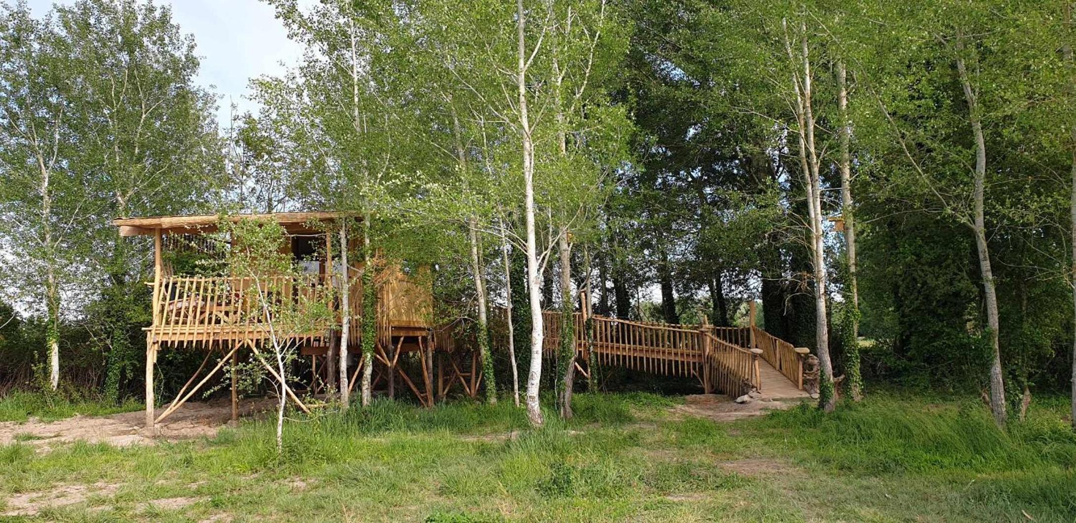LA CABANE PERCHEE view 3