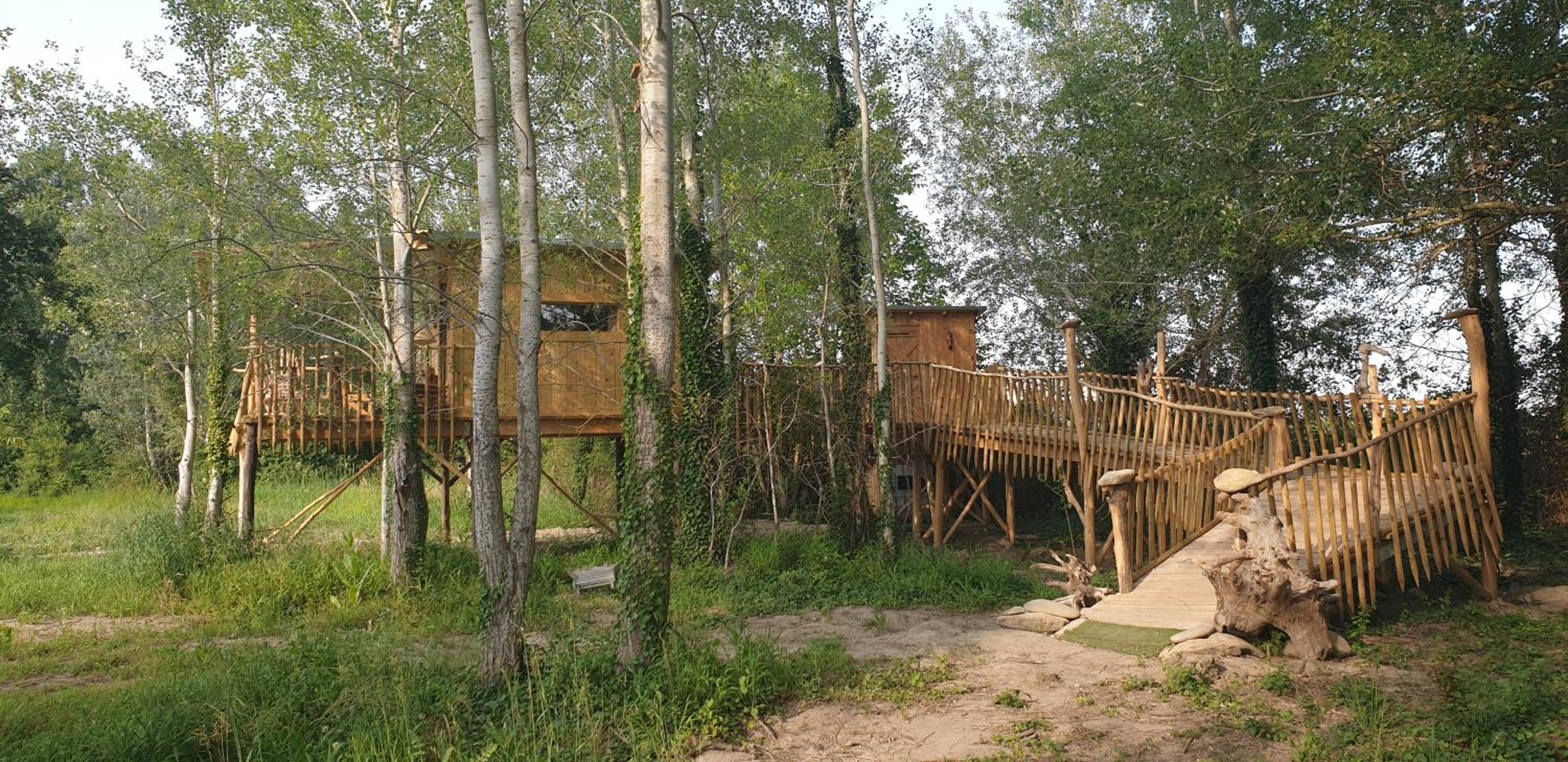 LA CABANE PERCHEE view 4
