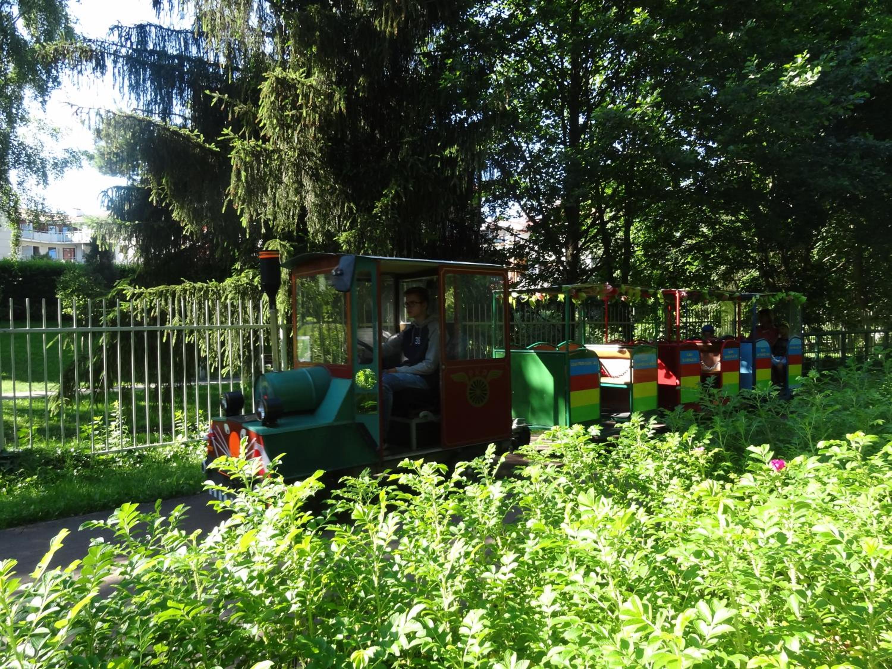 Photo 6
