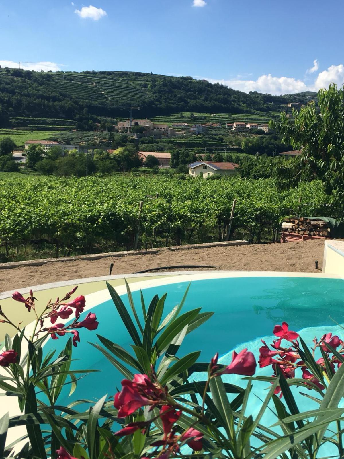 B&B Agorà