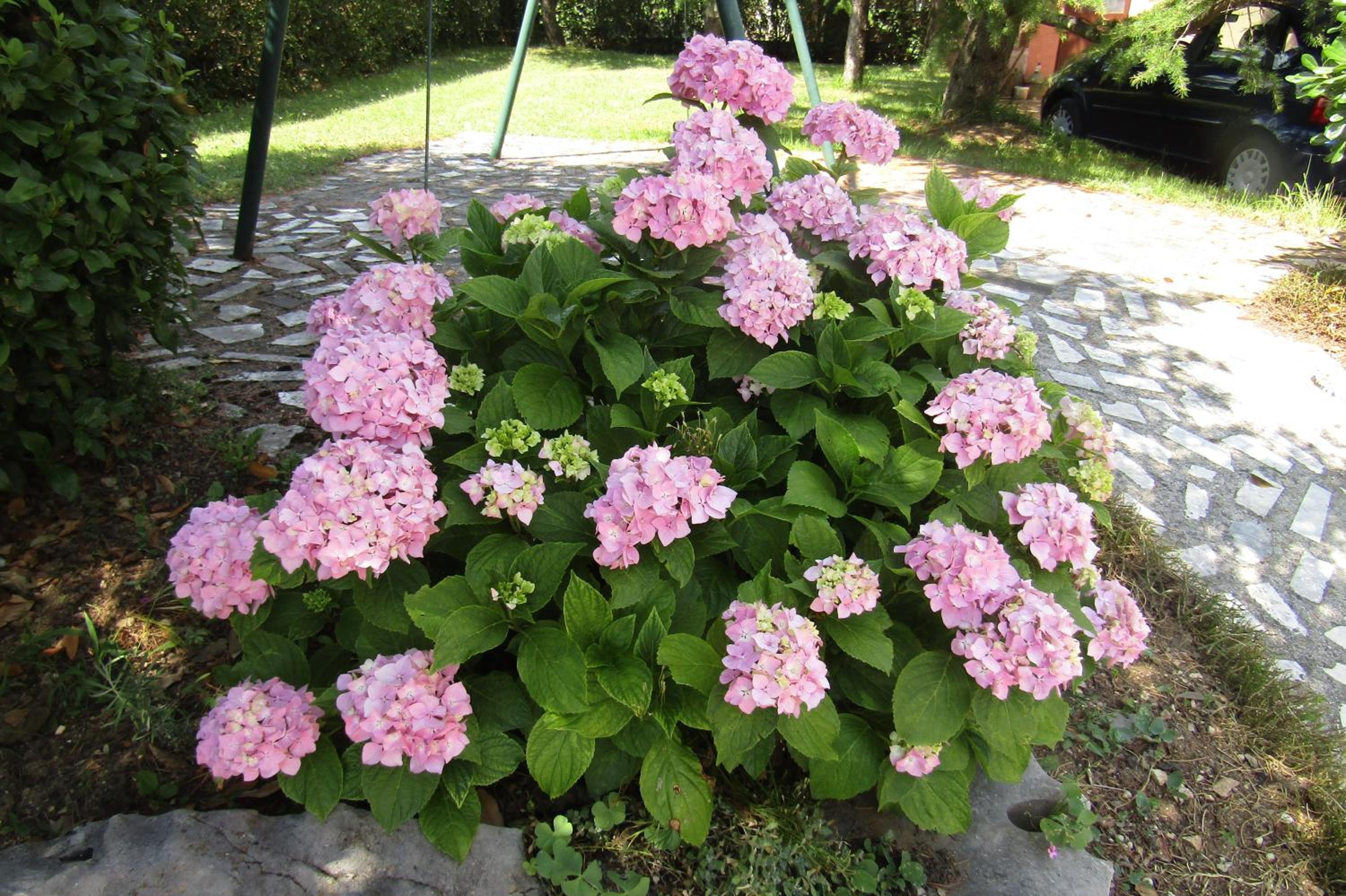 Photo 37
