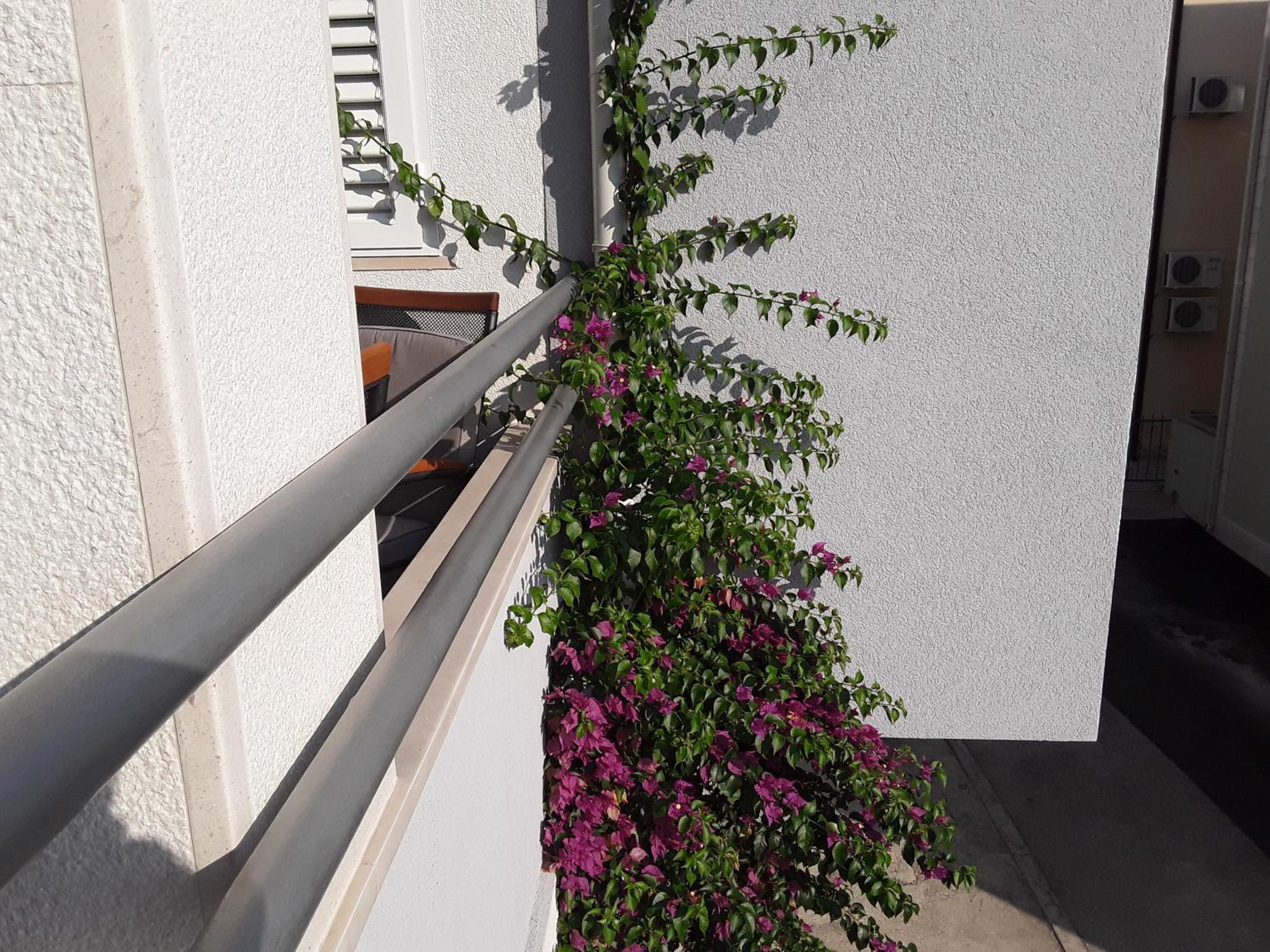 Milic Apartments view 2