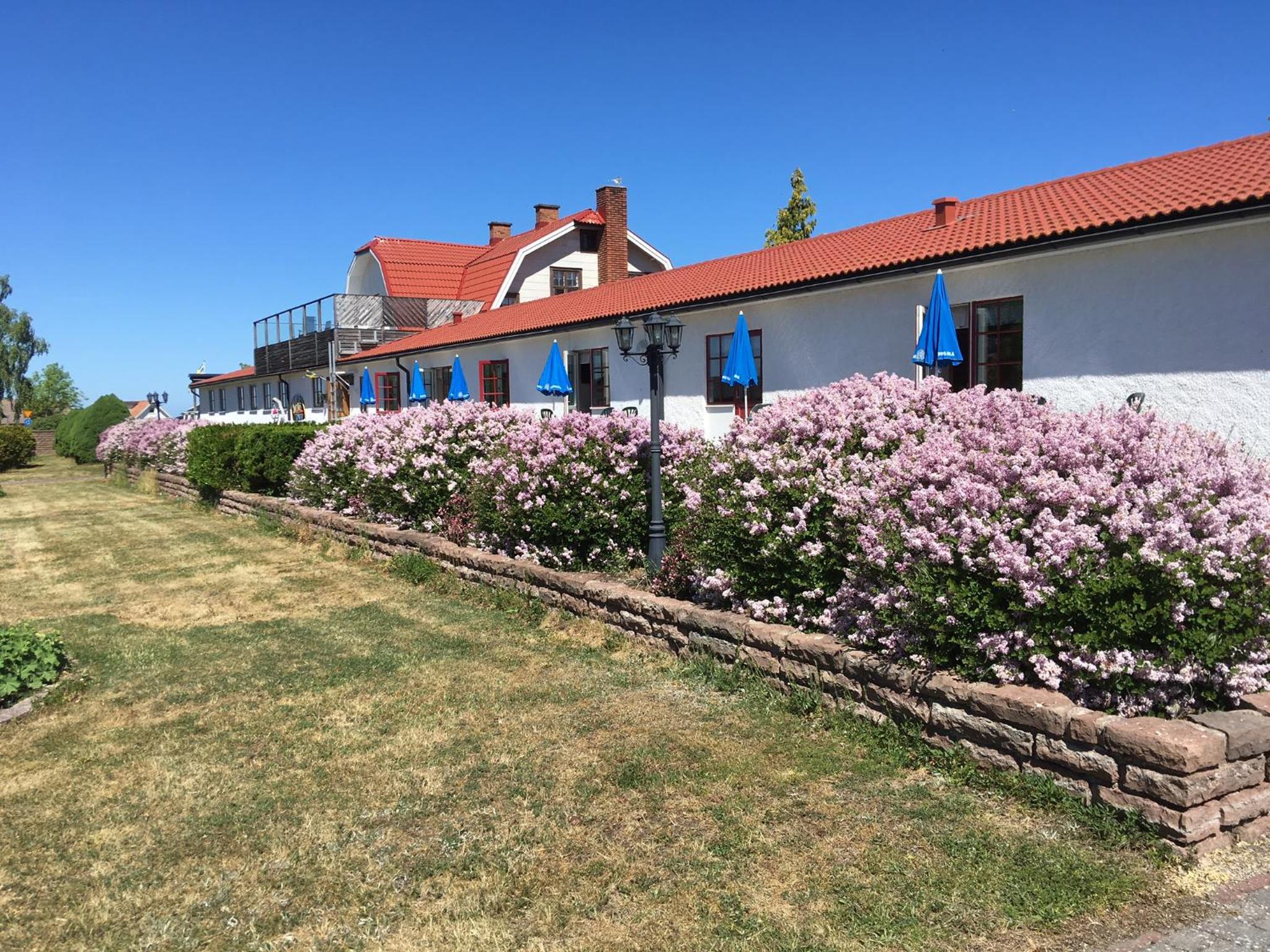 Solö view 5