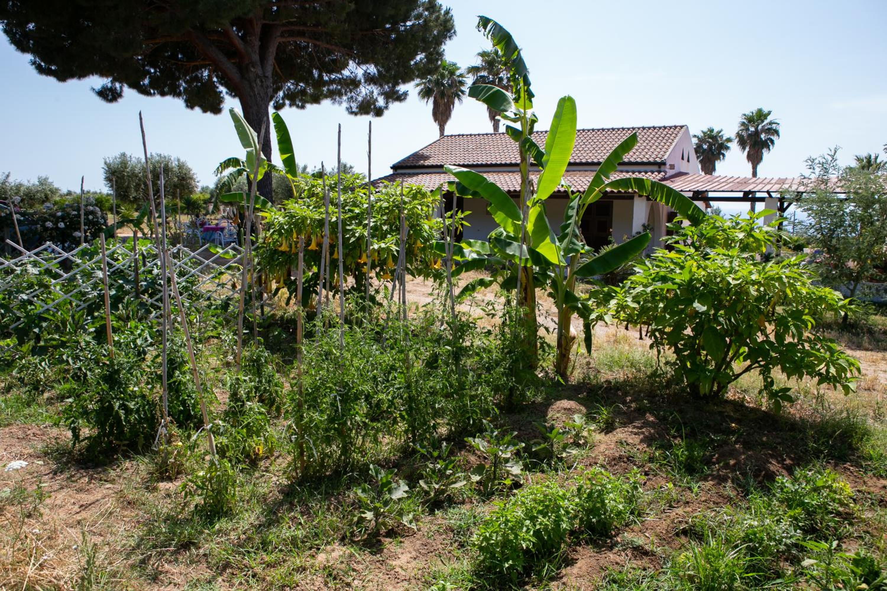 Photo 26