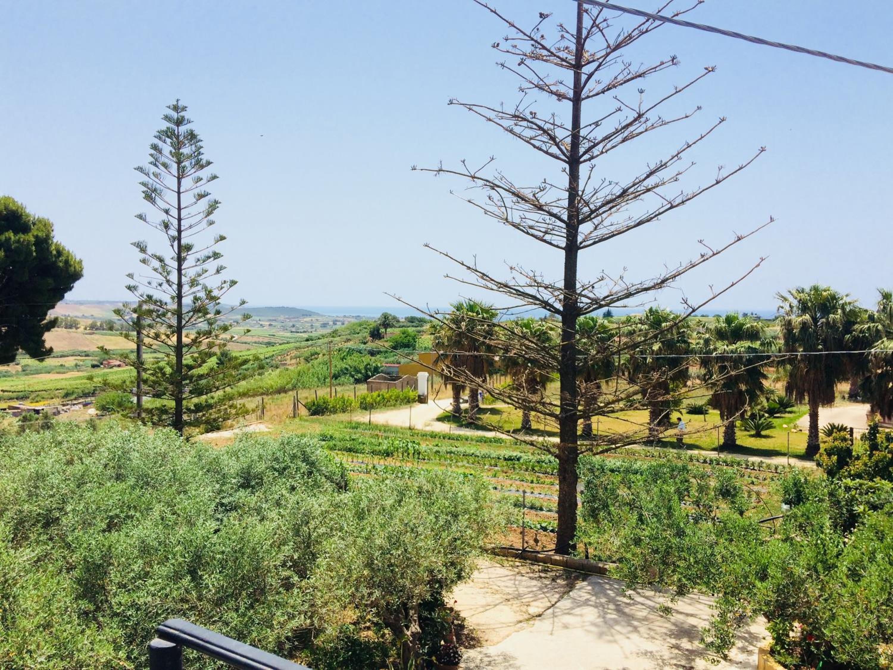 Casa Vacanza Mariaoliva photo 1