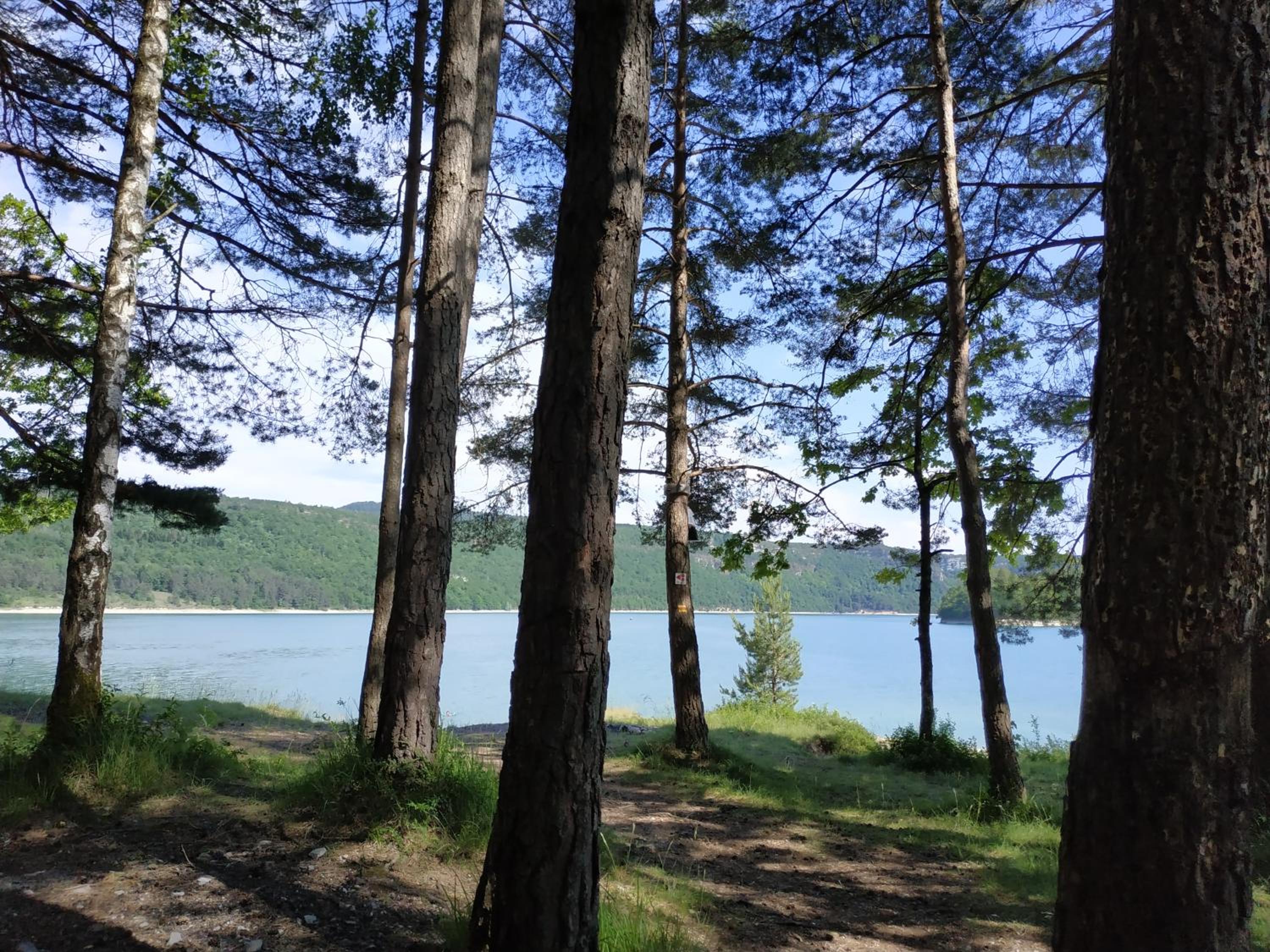 Photo 40