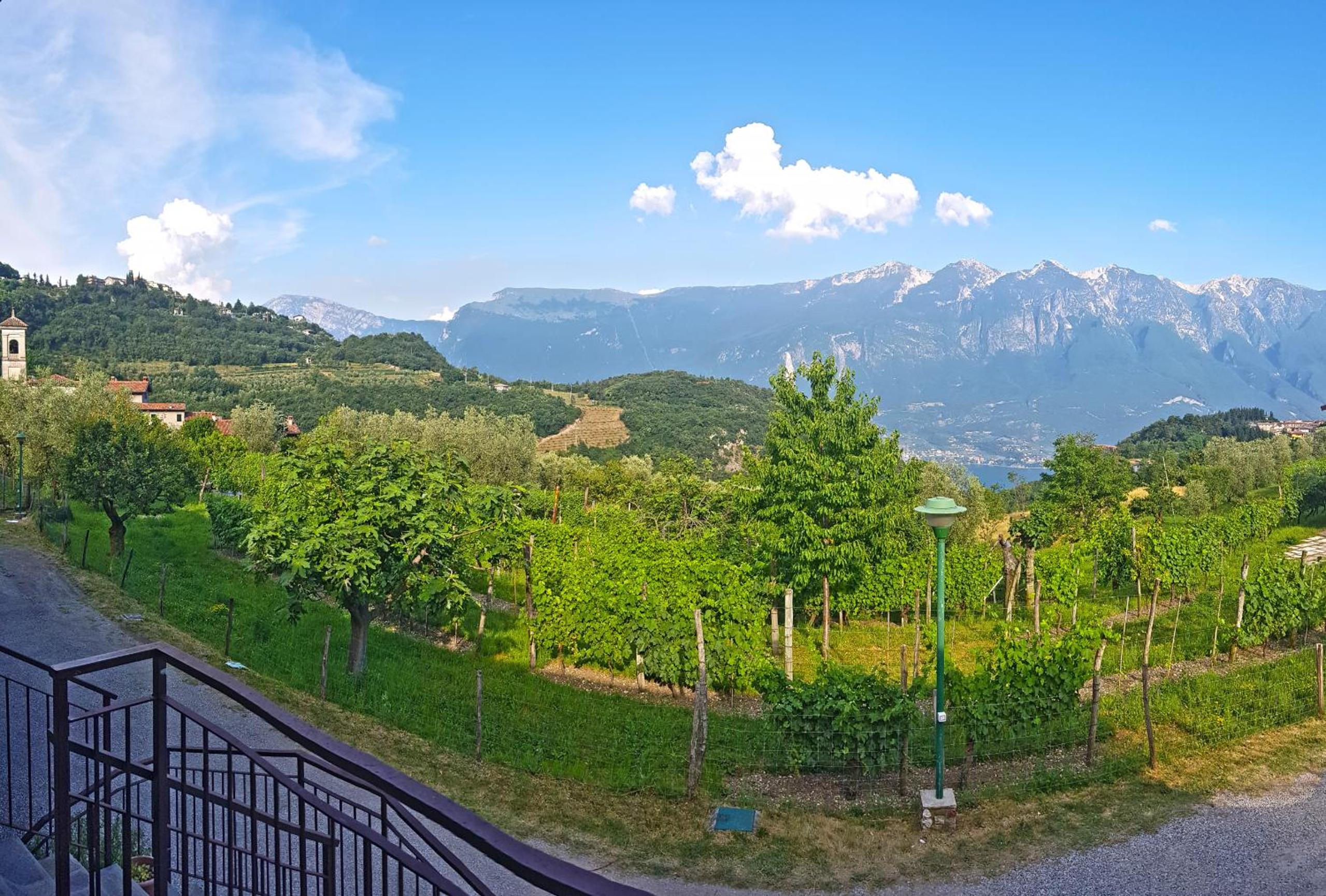 Casa Elisa Balcony by Gardadomusmea photo 4