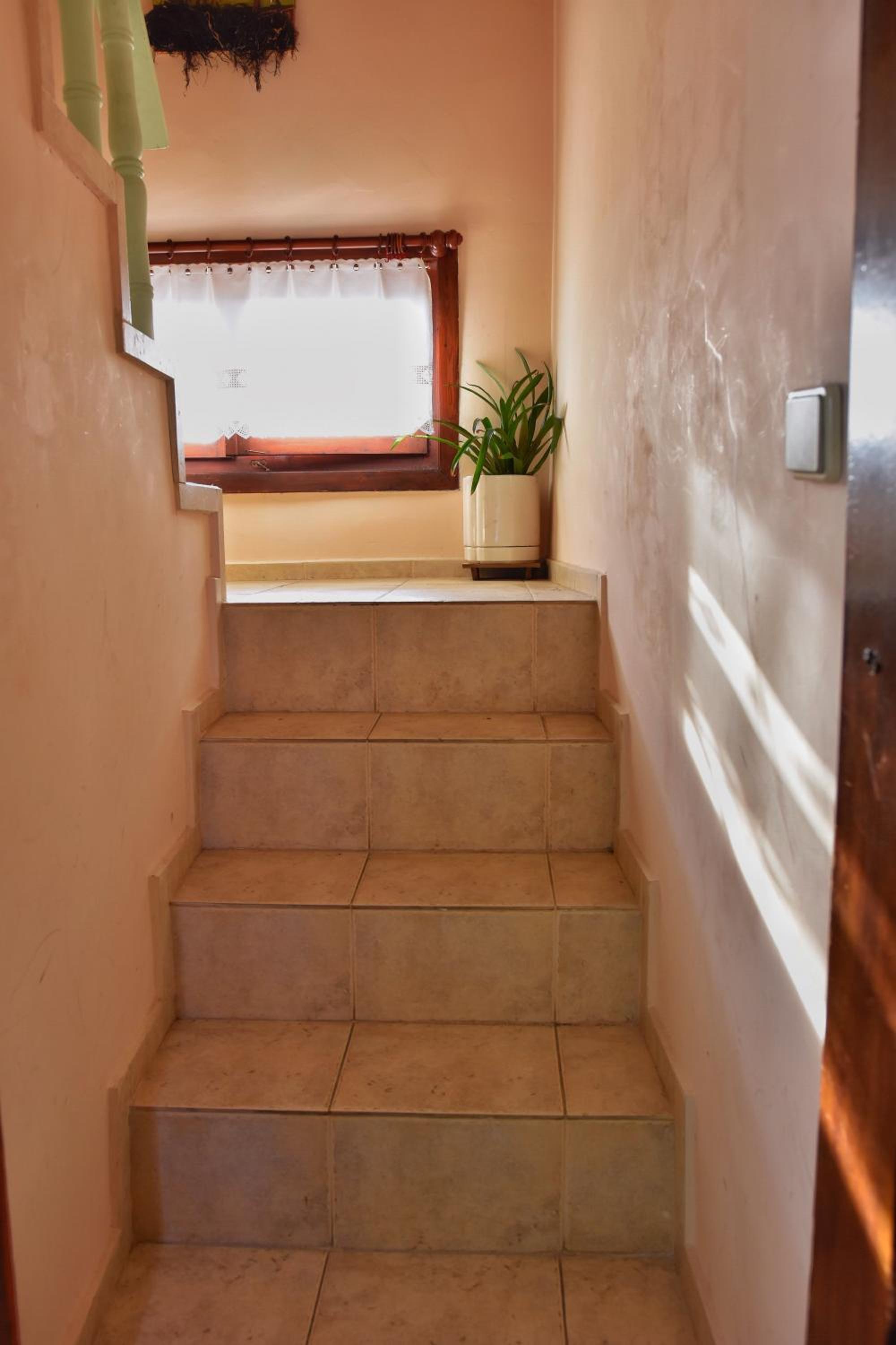 Guest House Plavas