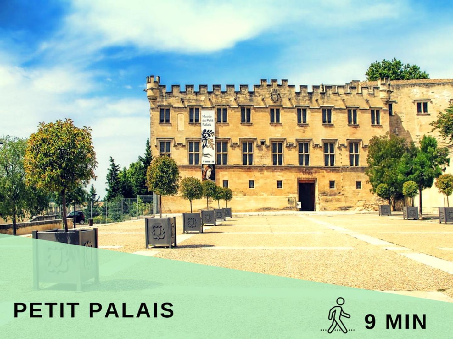 LE PETIT AVIGNONNAIS - APHRODITE - INTRAMUROS - CENTER -