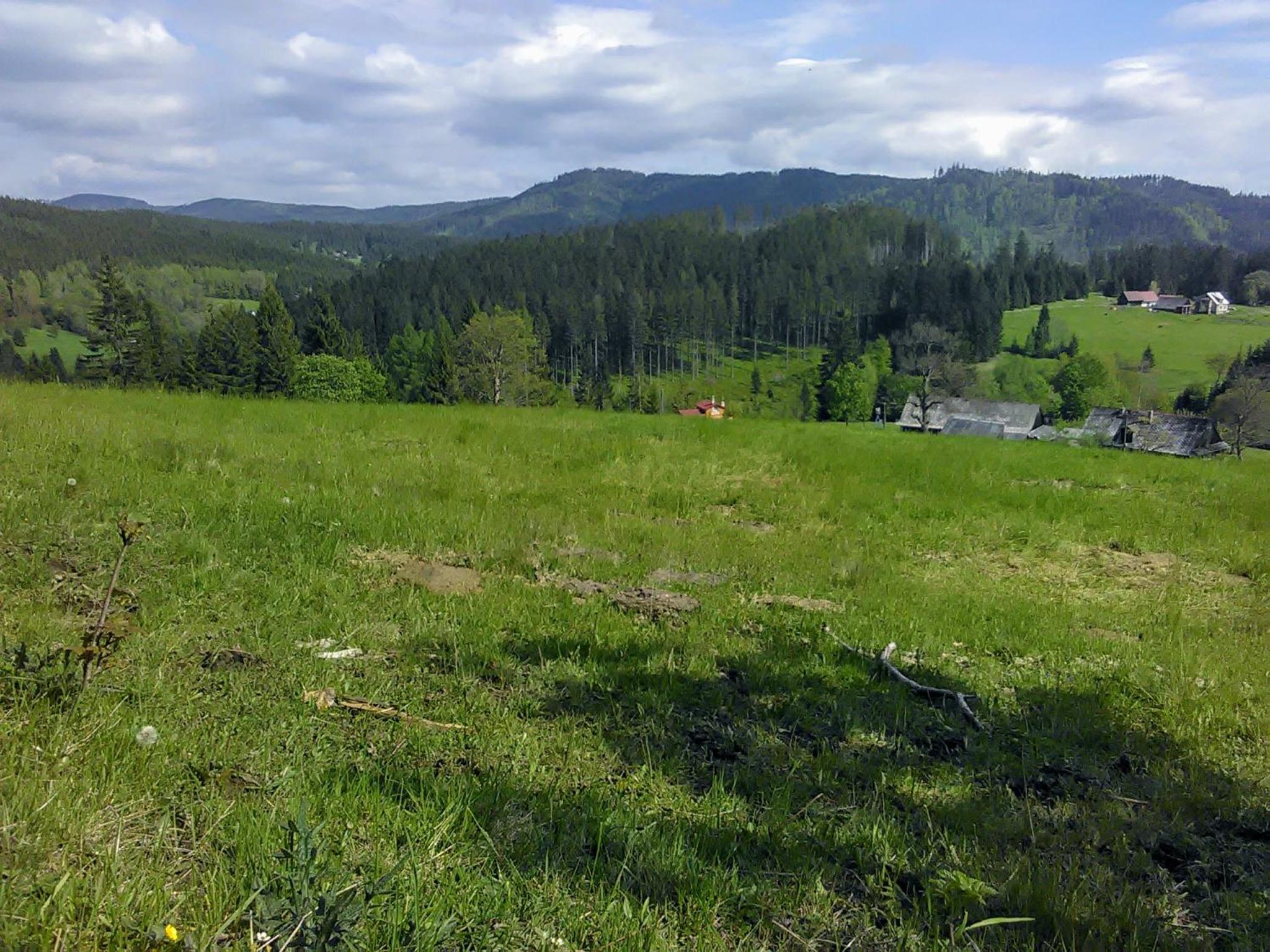 Photo 46