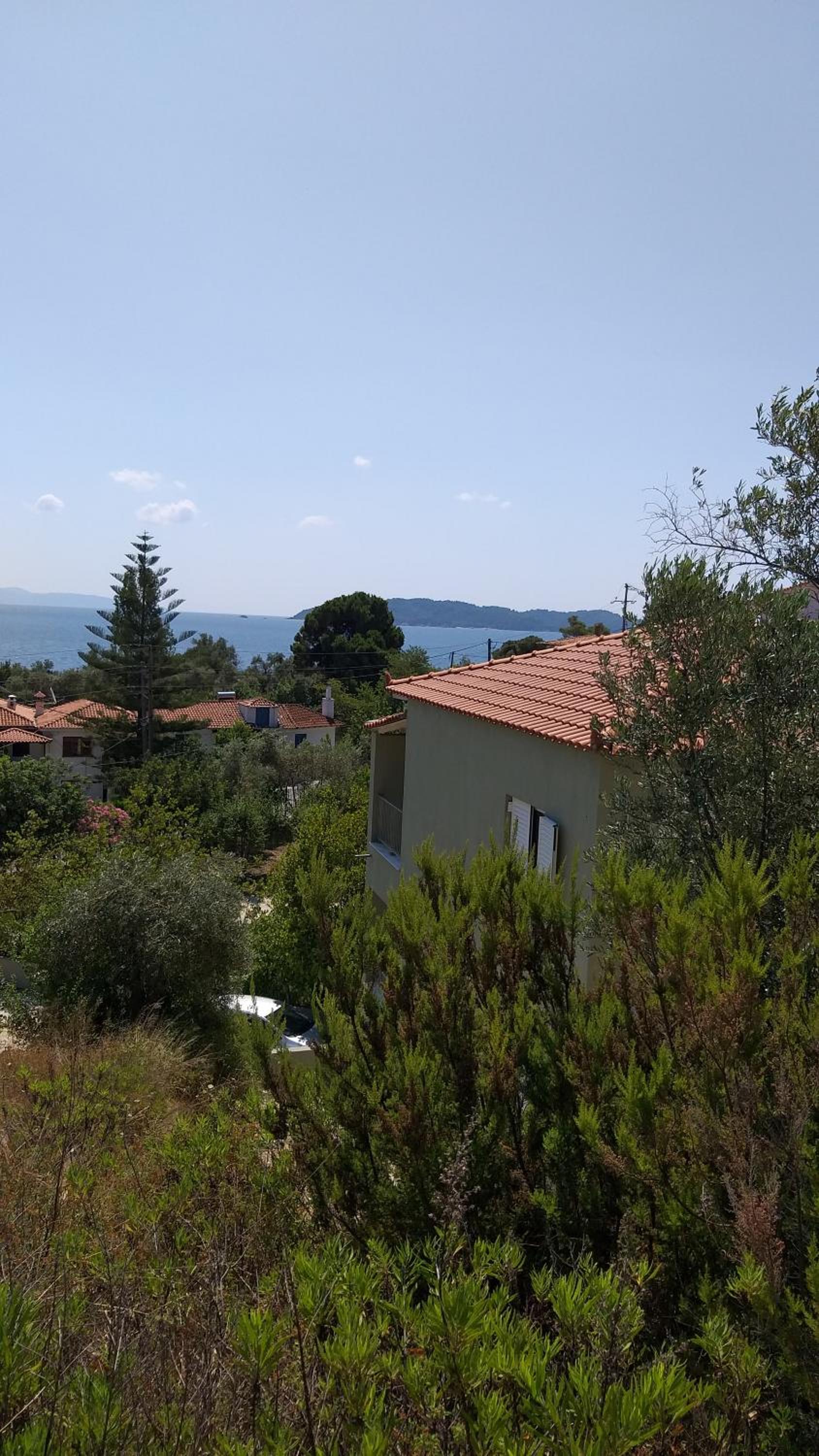 Villa Bloom