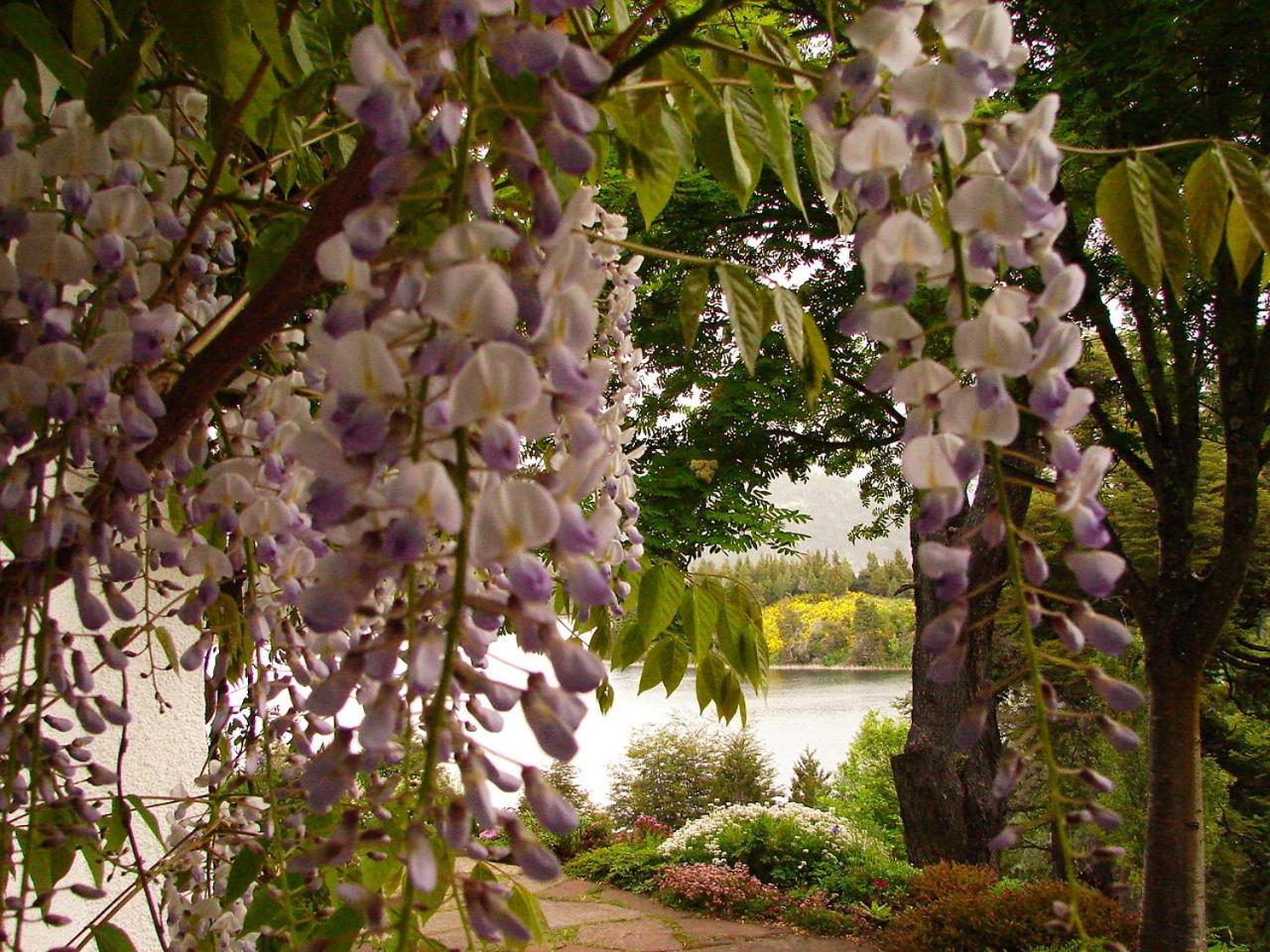 Bellevue