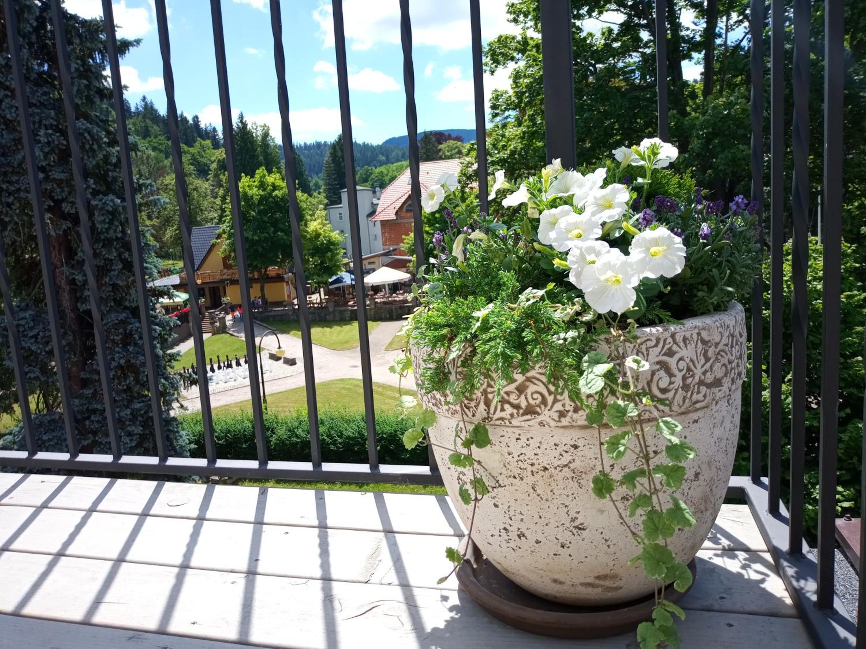 Dolce view 4