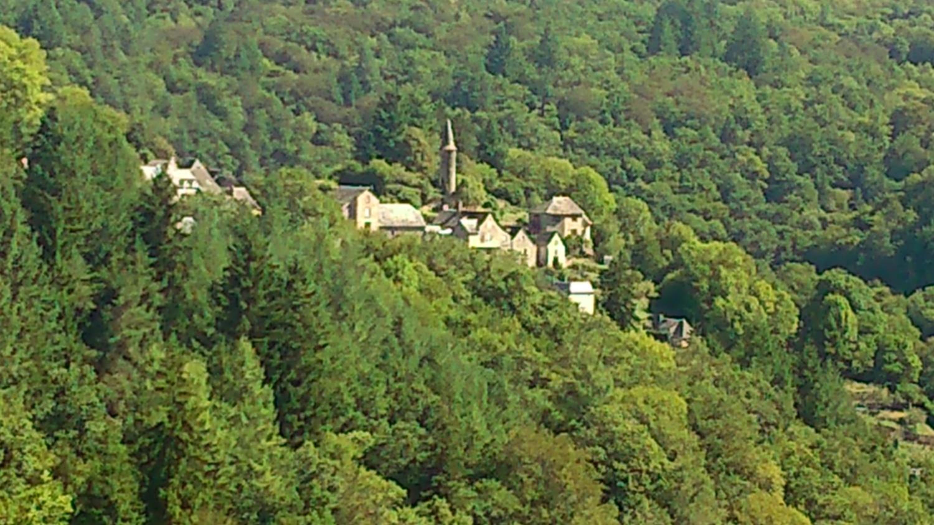 Photo 42