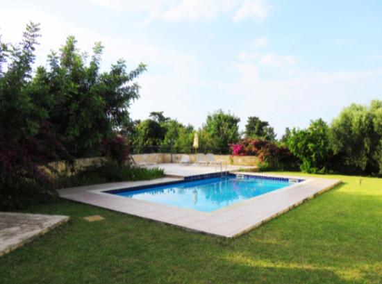 Traditional apartment with view in Douliana Vamos photo 2