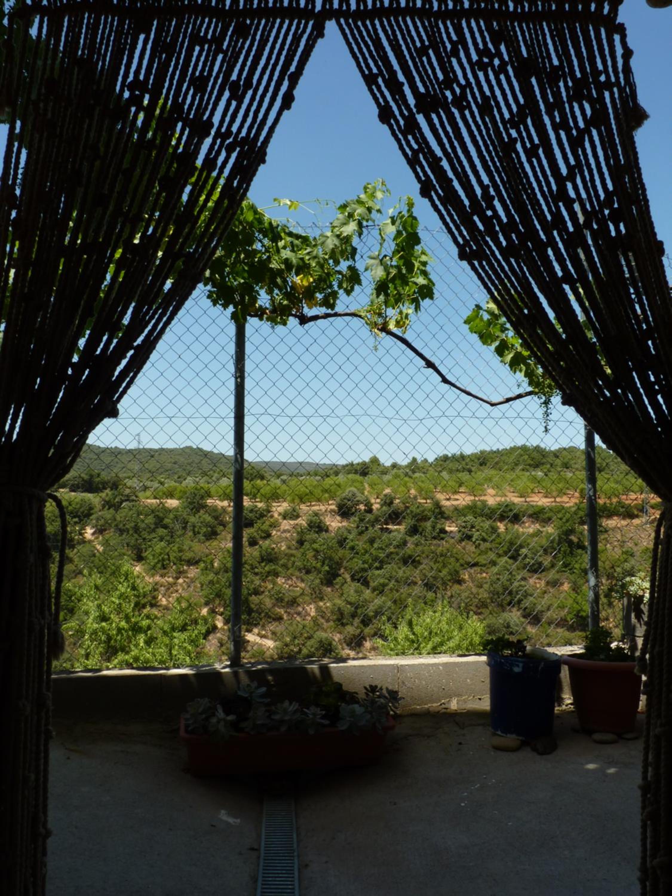 Apartamentos Casa Mata view 4
