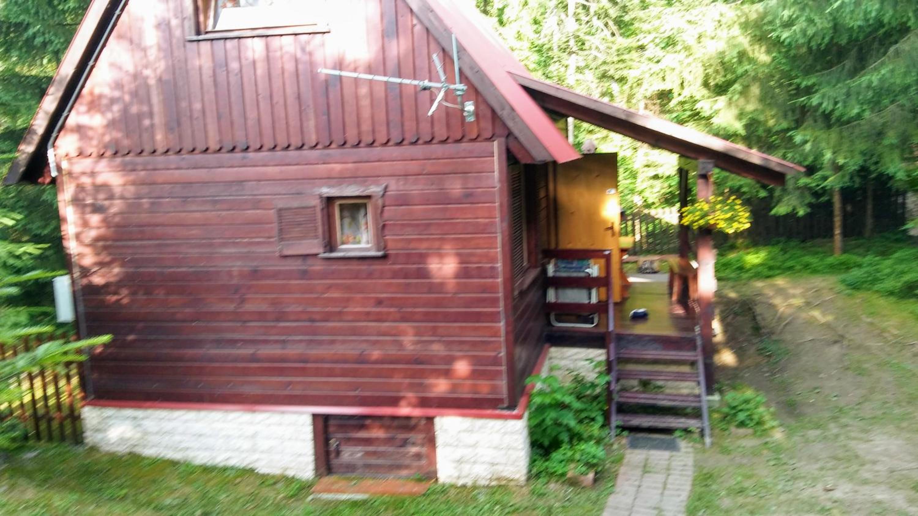 Photo 7