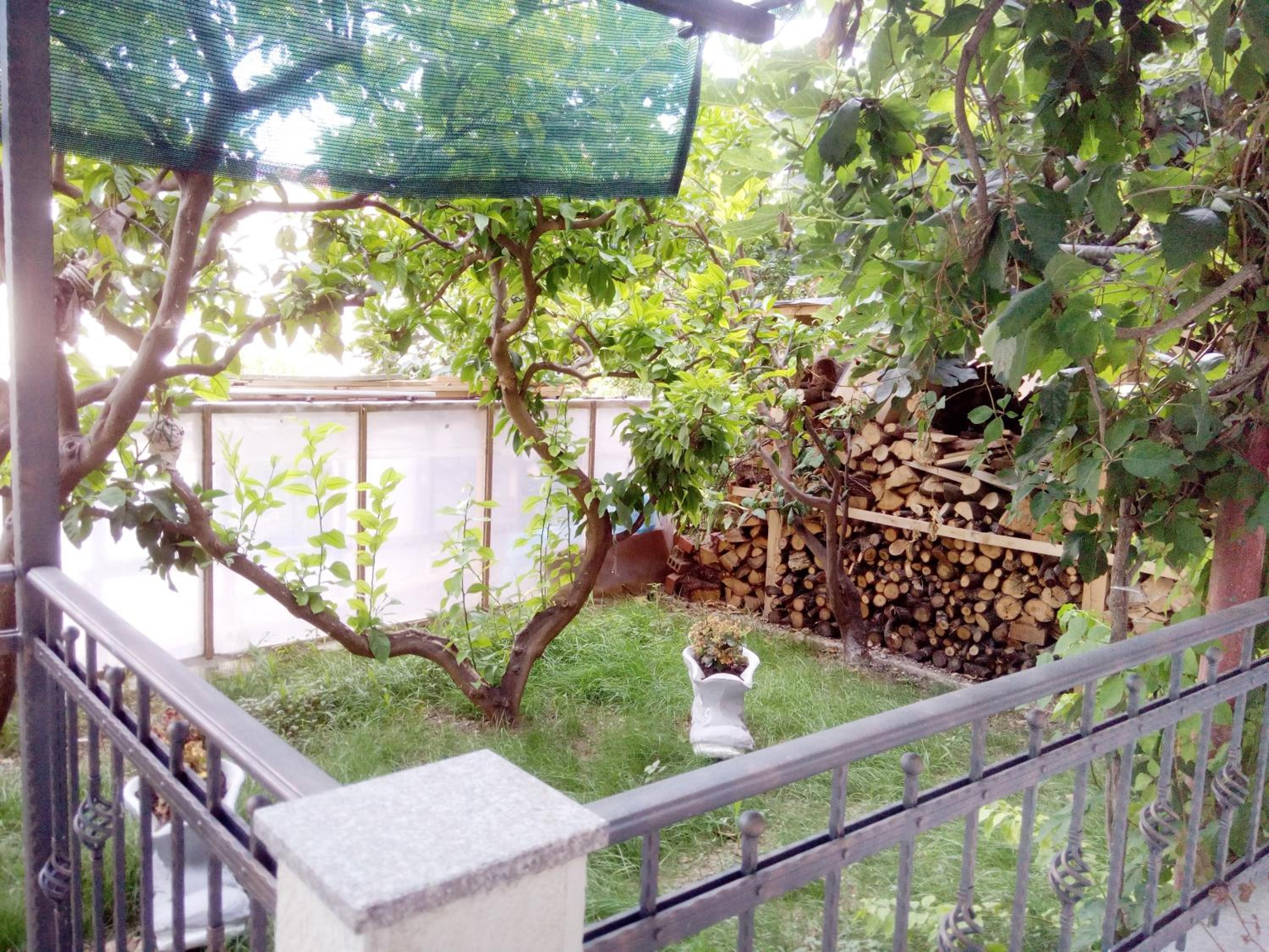 Photo 19