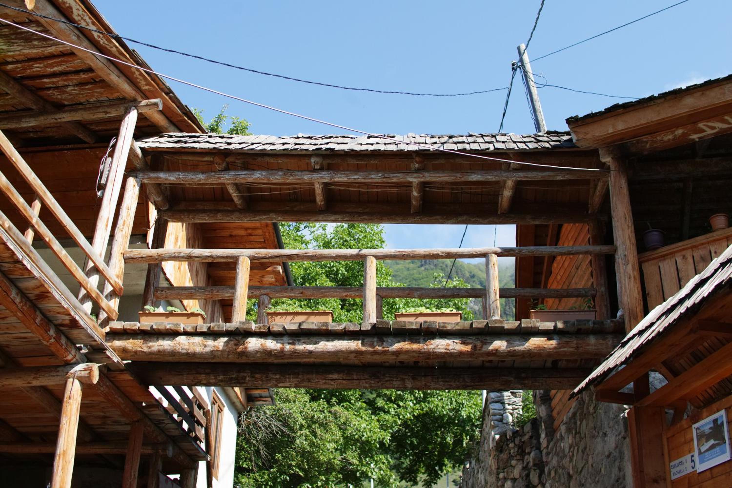 Photo 47