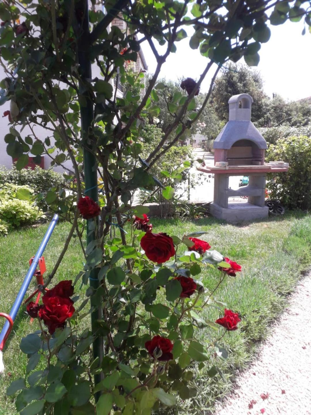 Photo 45