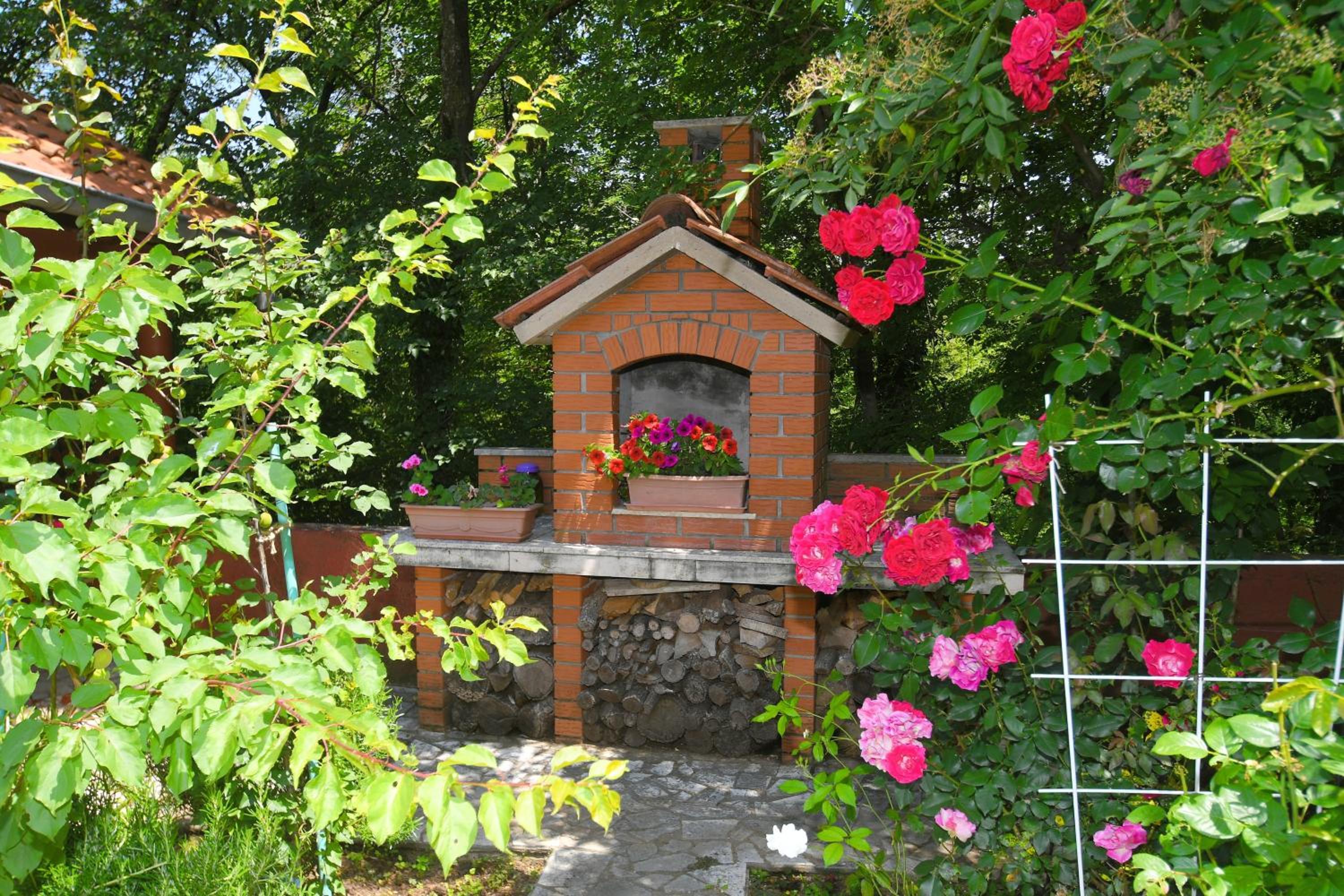 Photo 20