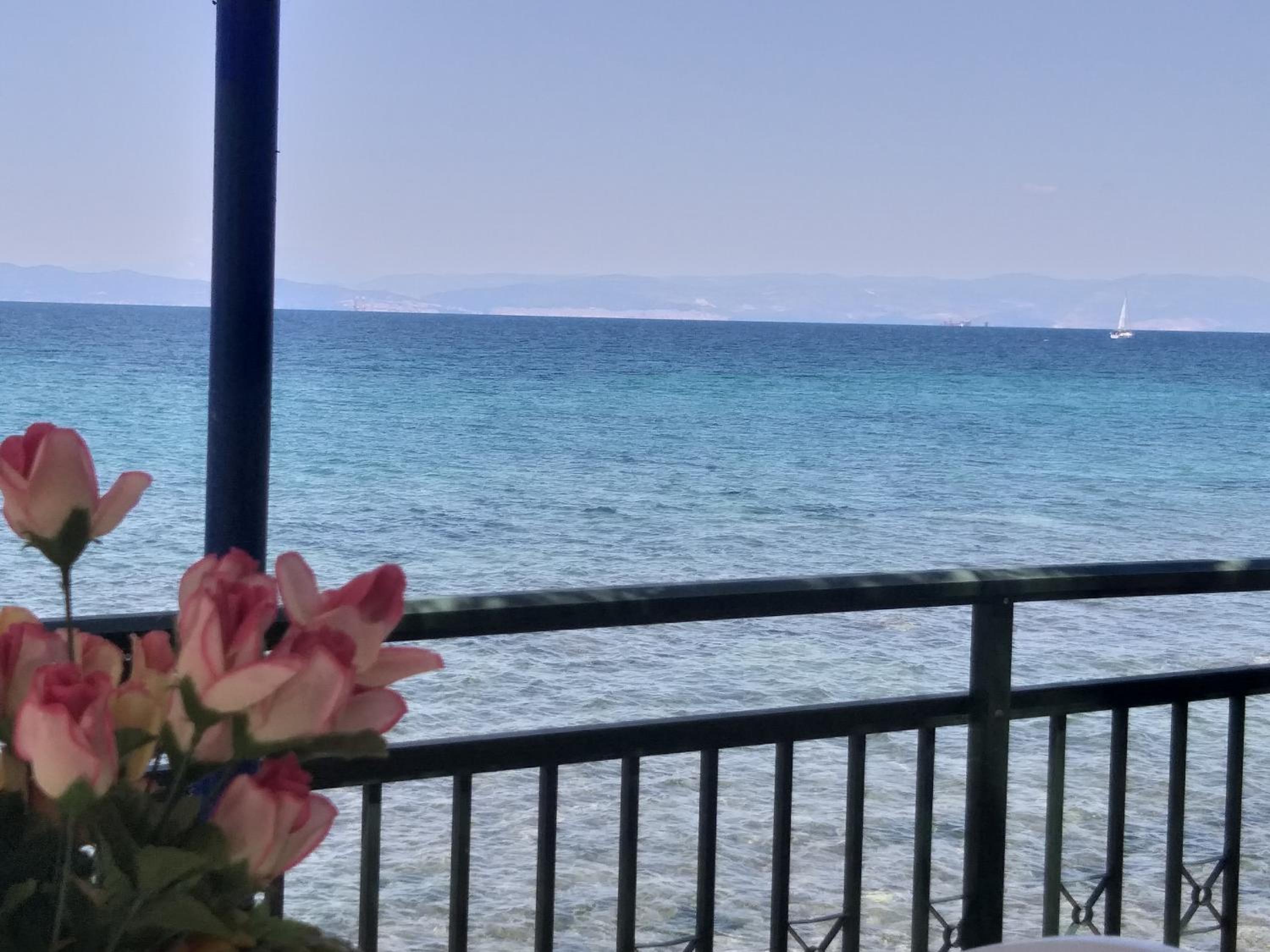 Sea View Bungalows view 2
