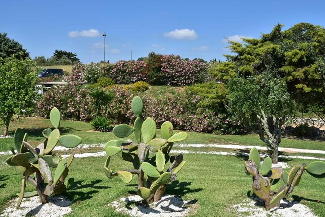 Agriturismo Massaro Pietro