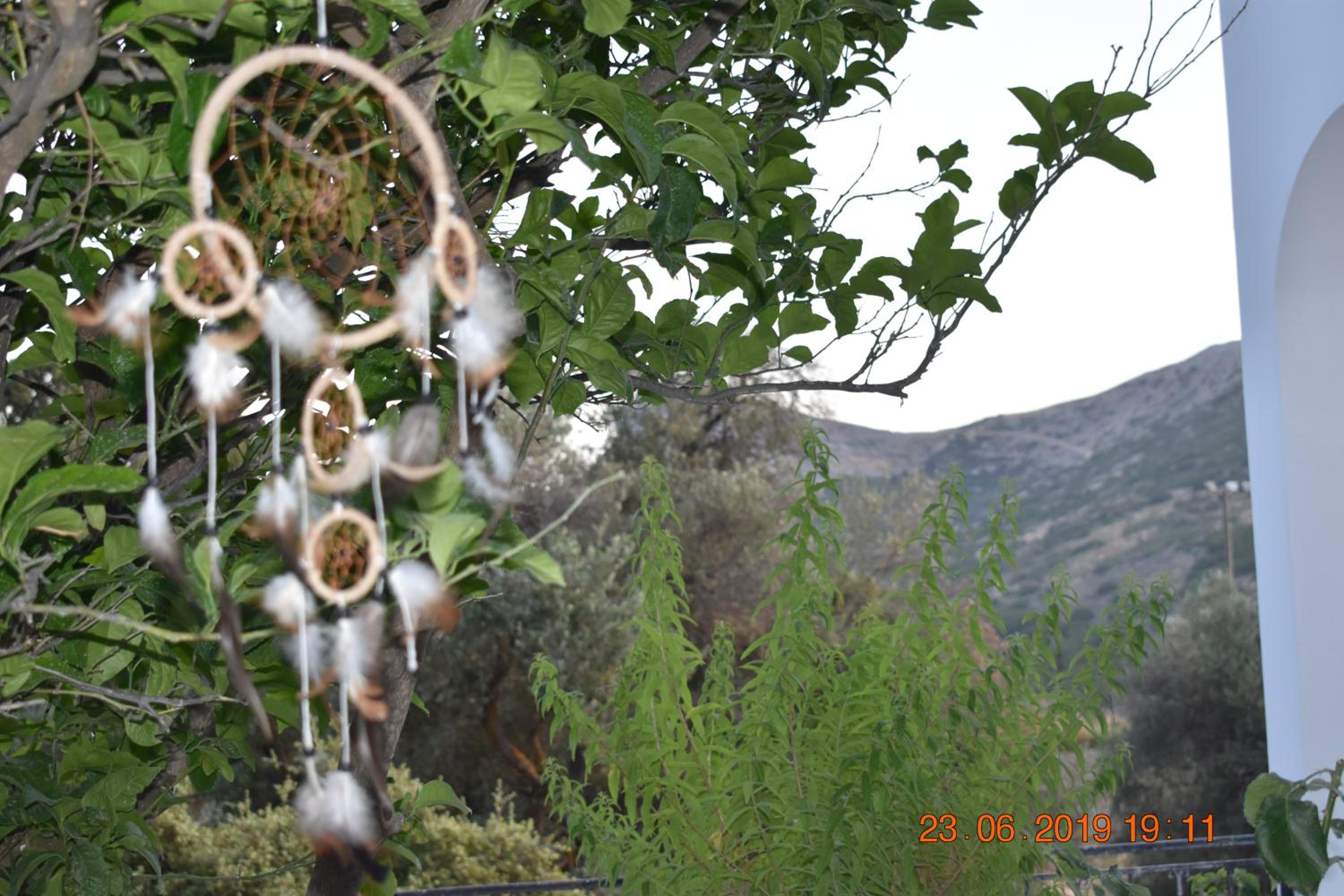 Dreamcatcher of Zeus
