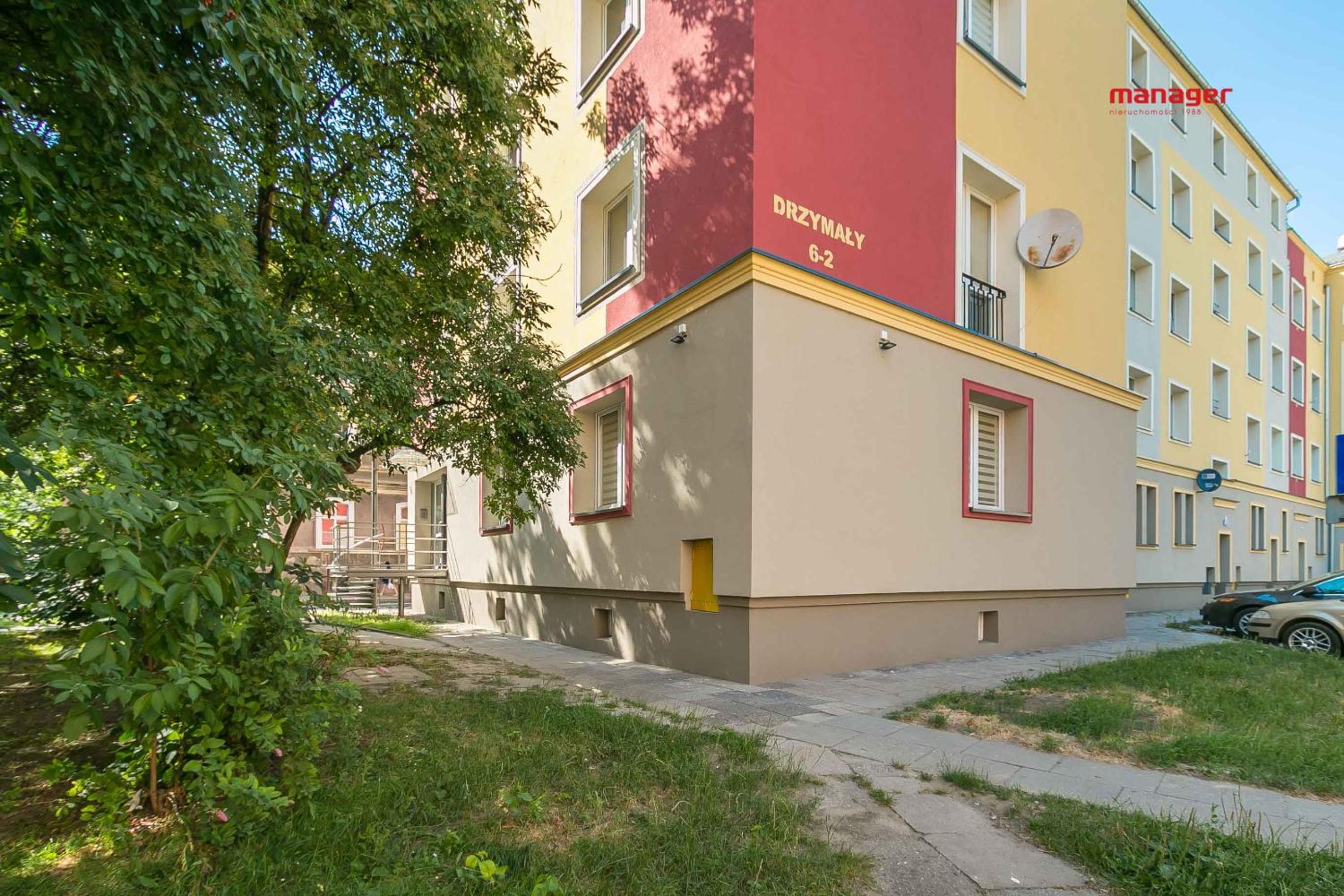 Miętowy