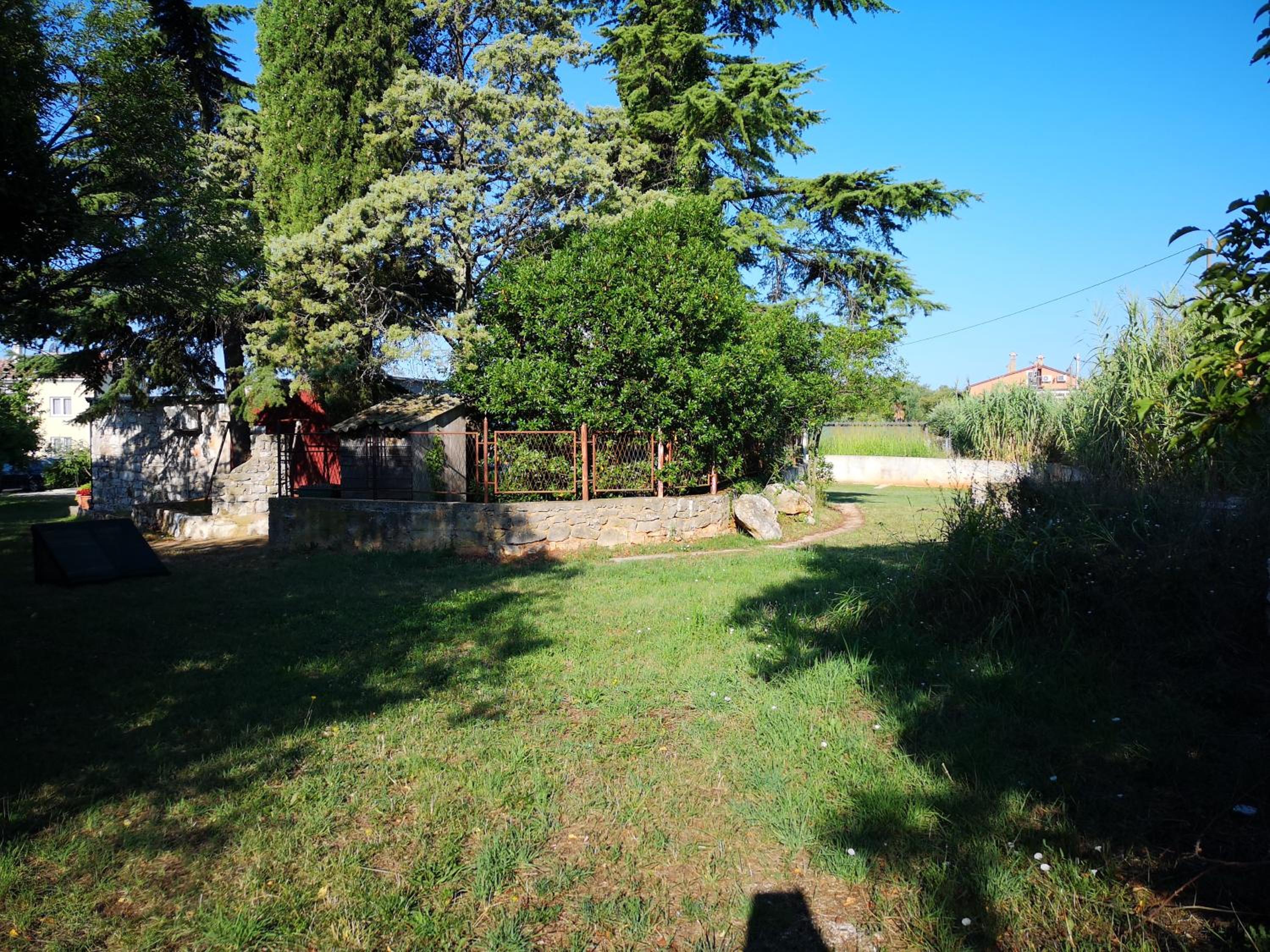 Photo 31