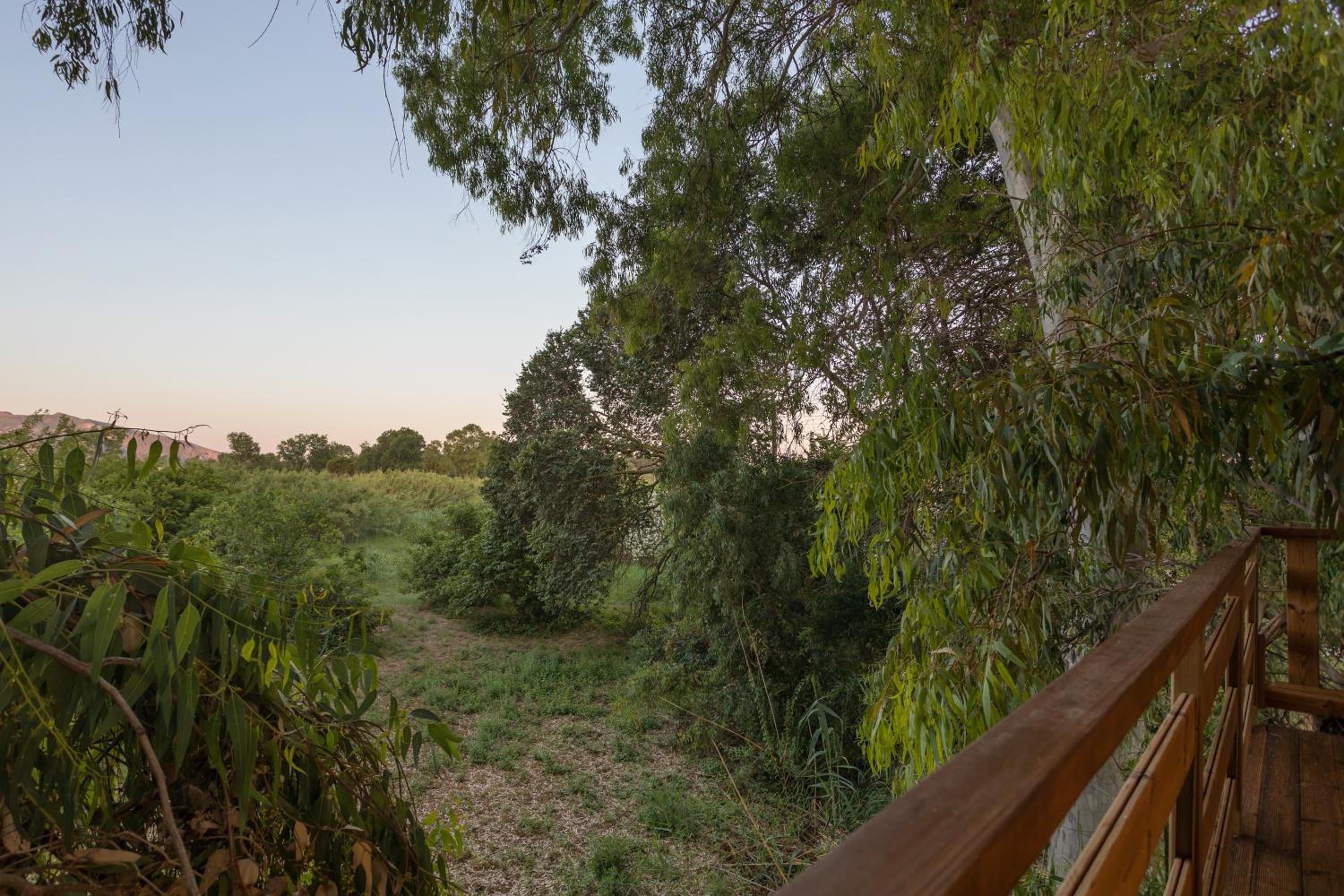 River TreeHouse