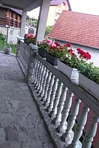 Photo 37