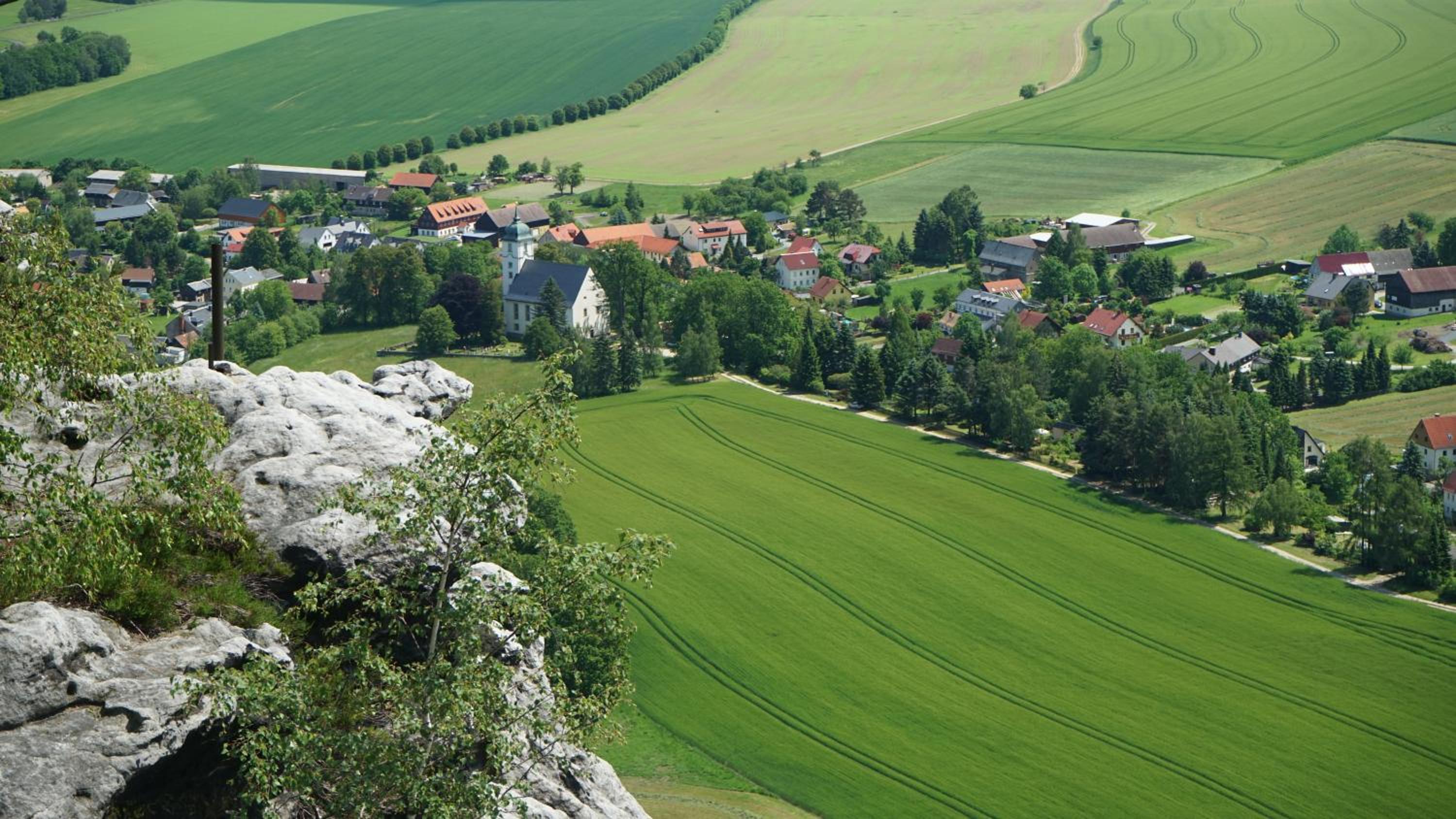 Photo 16