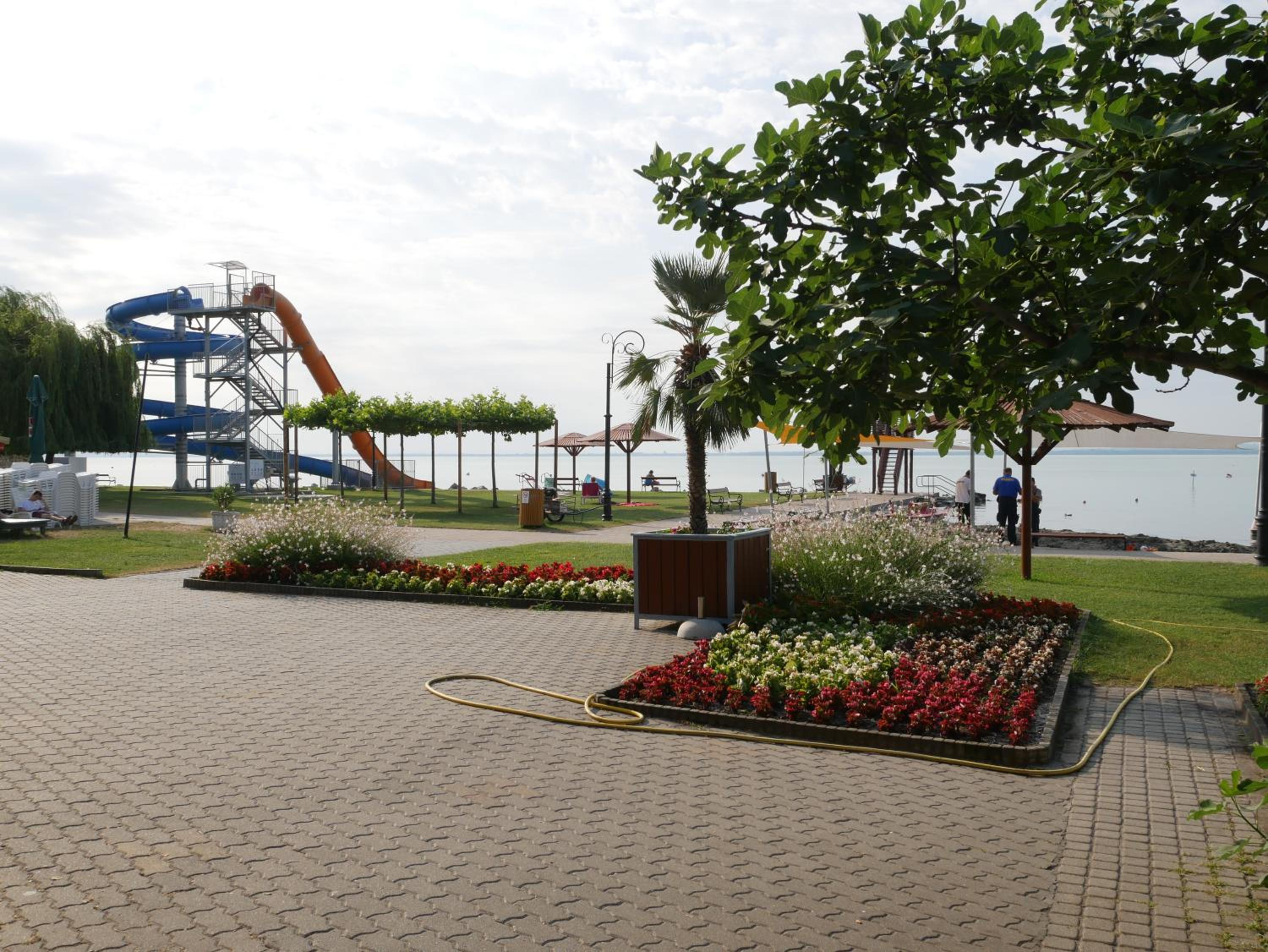 Photo 30
