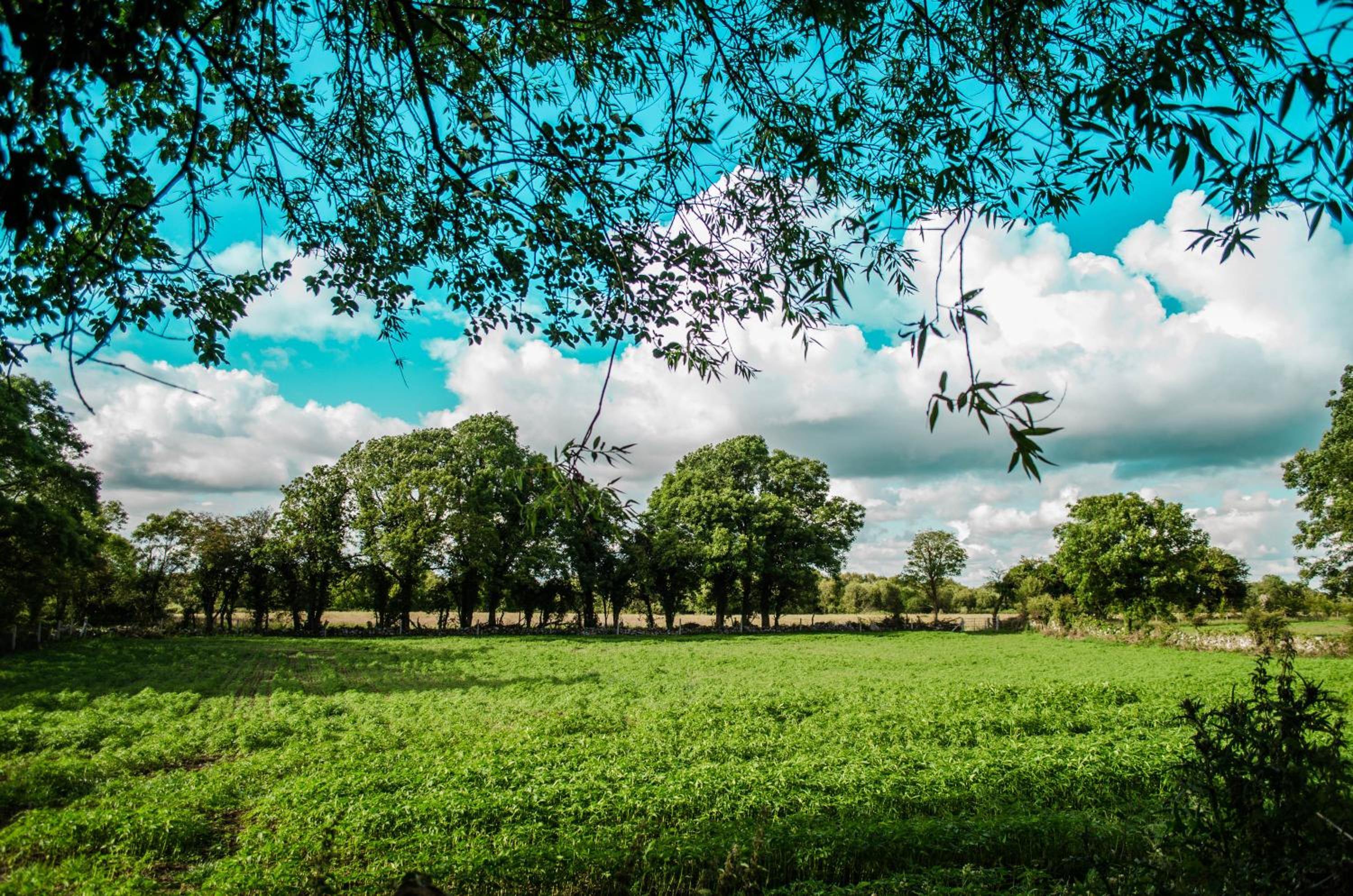 Corrib View Farmhouse view 5