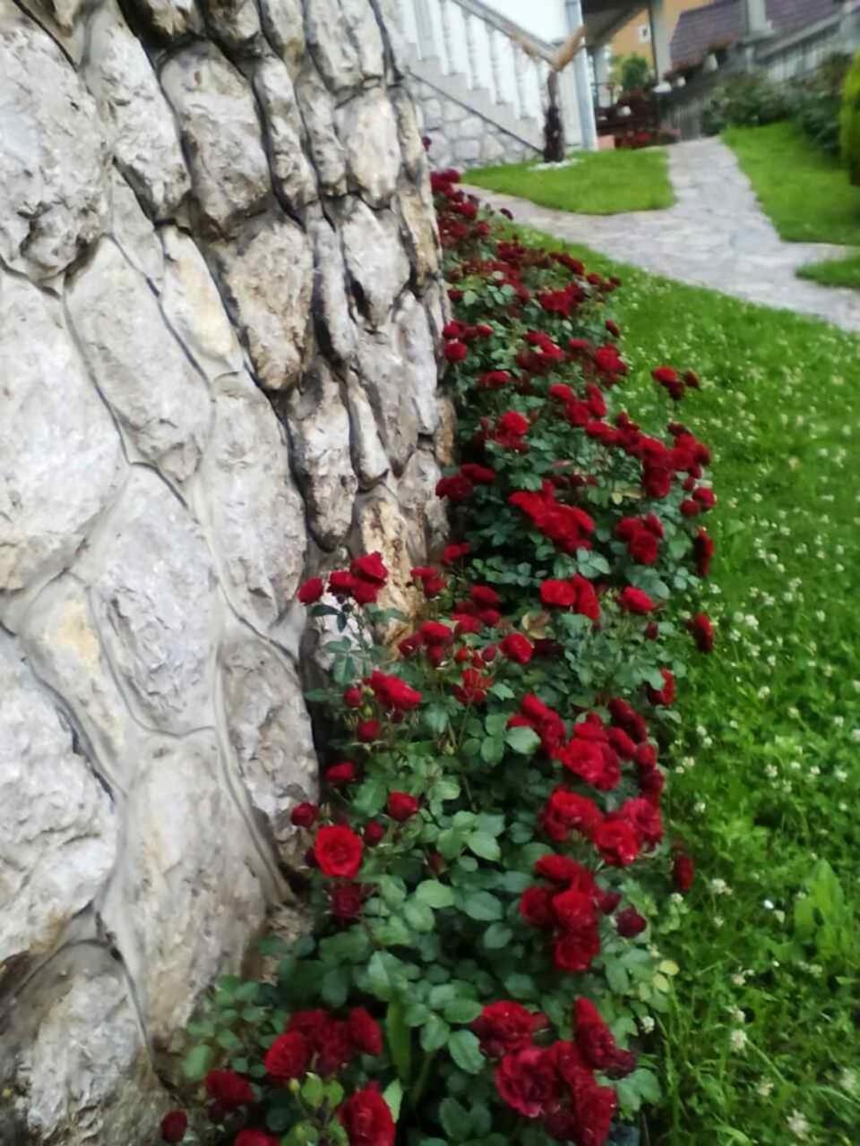 Photo 35