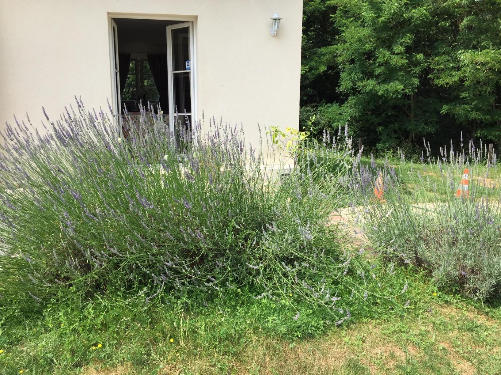 LE CLOS DU GOLF