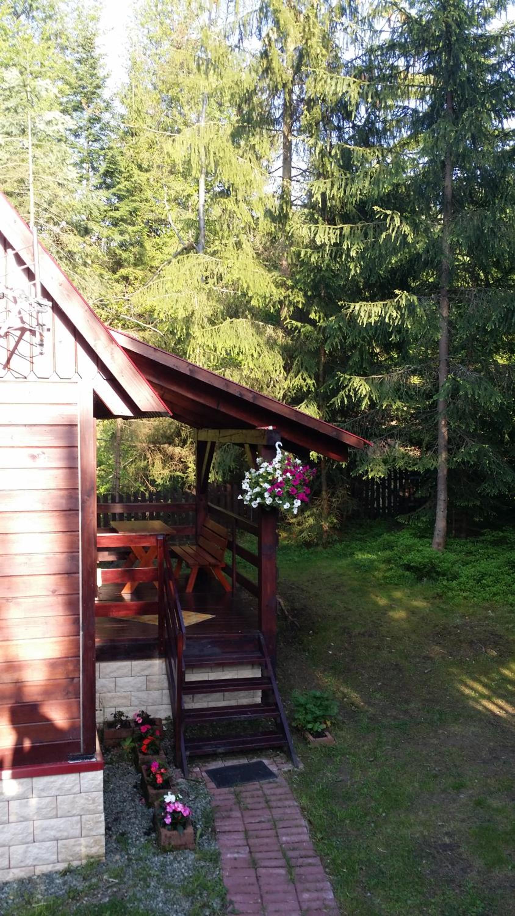 Photo 11