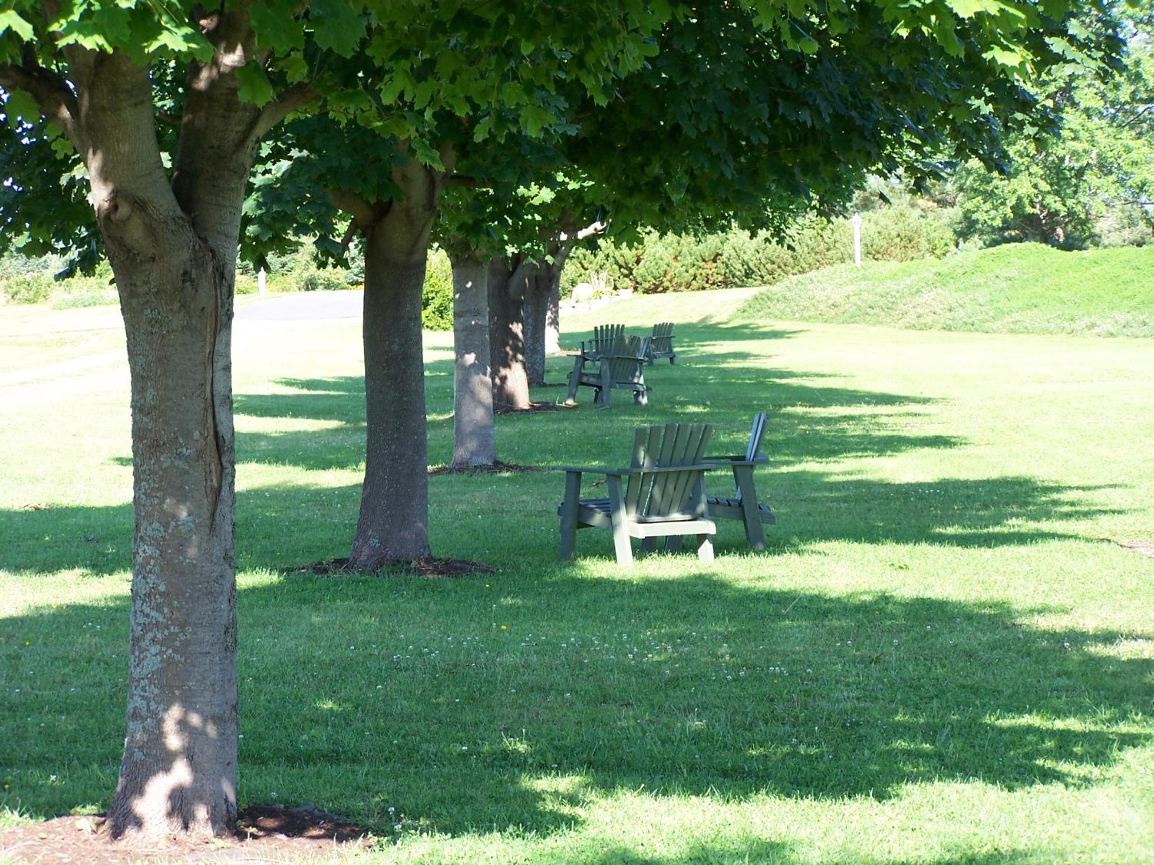 children's play area