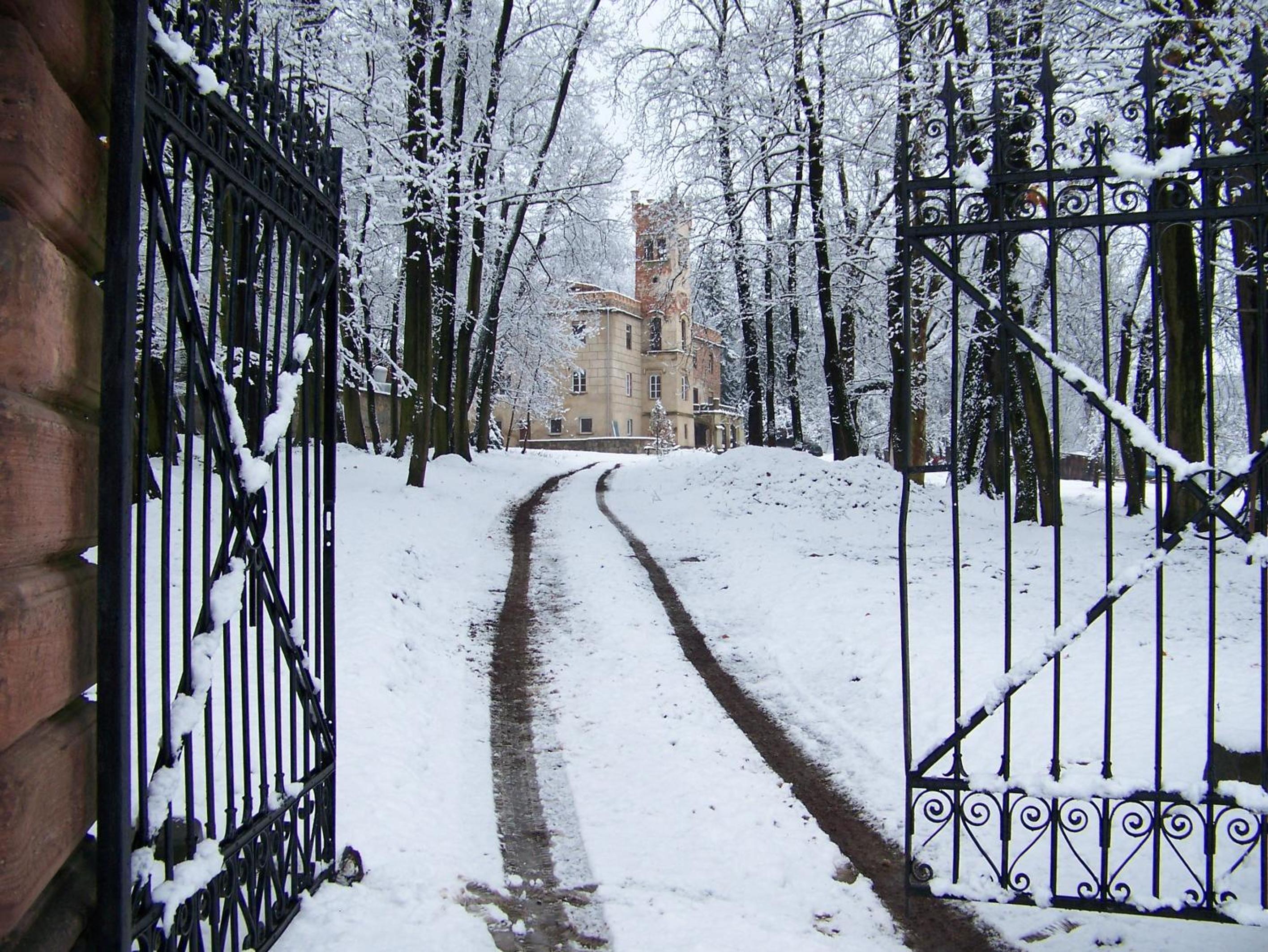 Photo 19