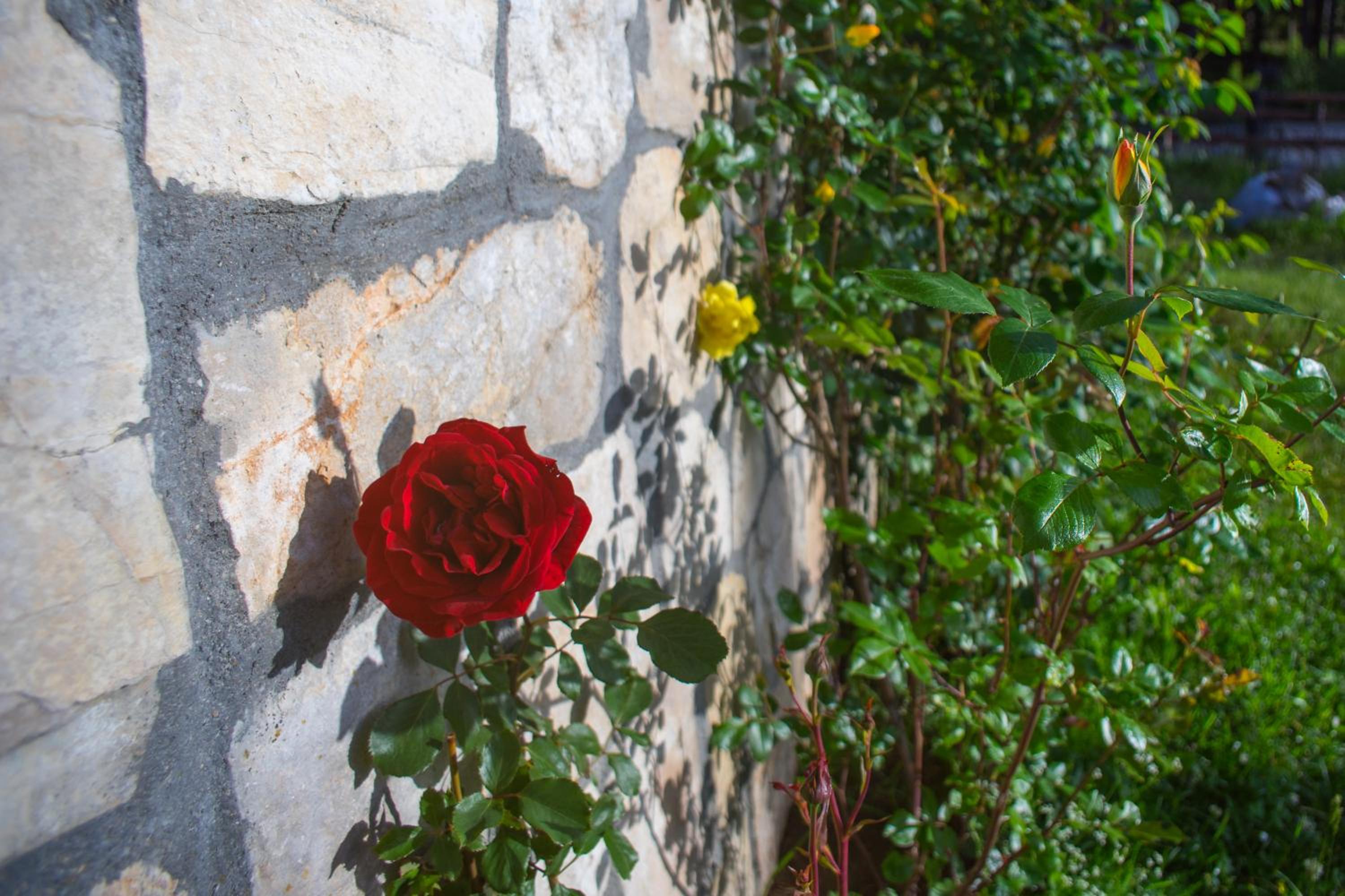 Photo 21