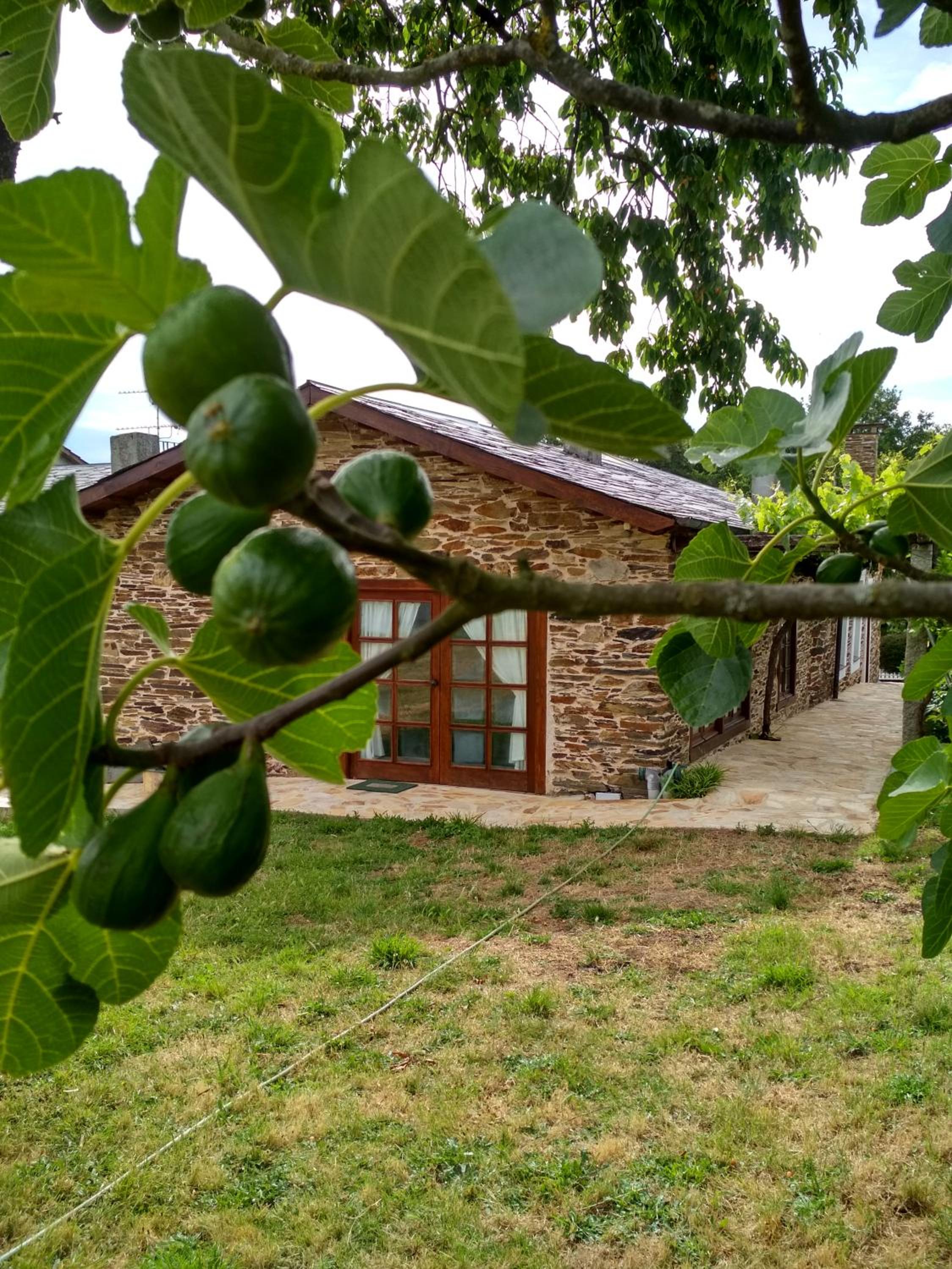 Casa Benaxo