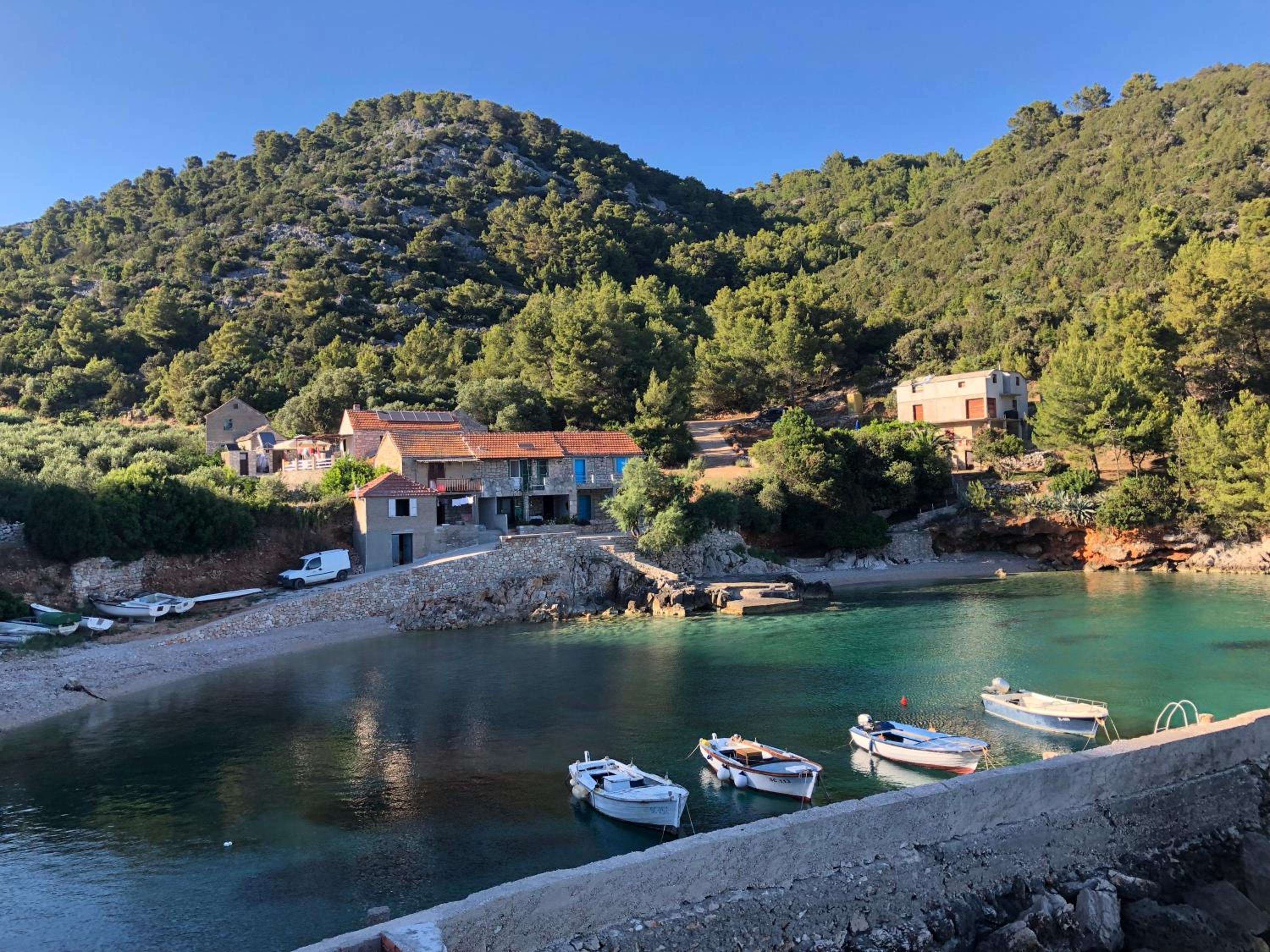 The White house robinson Gdinj Hvar view 5